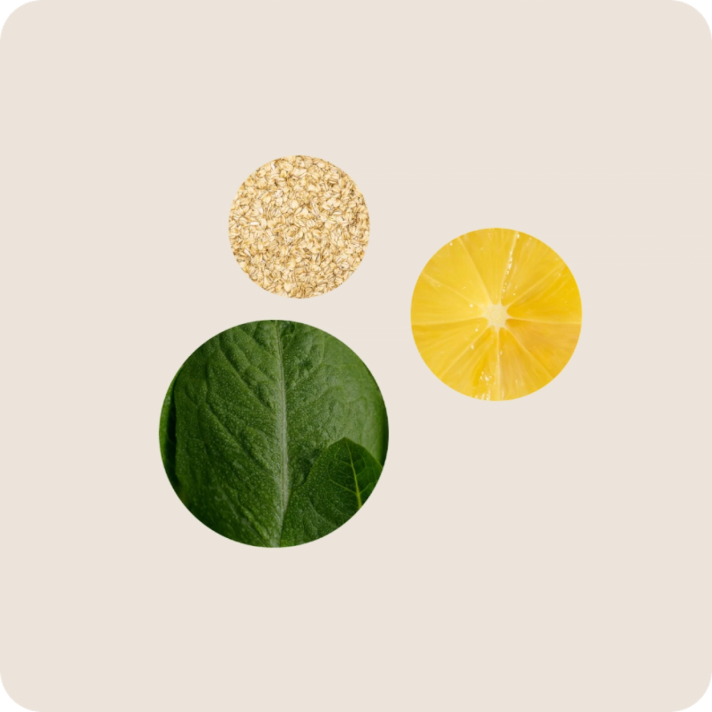 Circular images of grains, a lemon slice, and a green leaf illustrate nutrients in a food matrix.