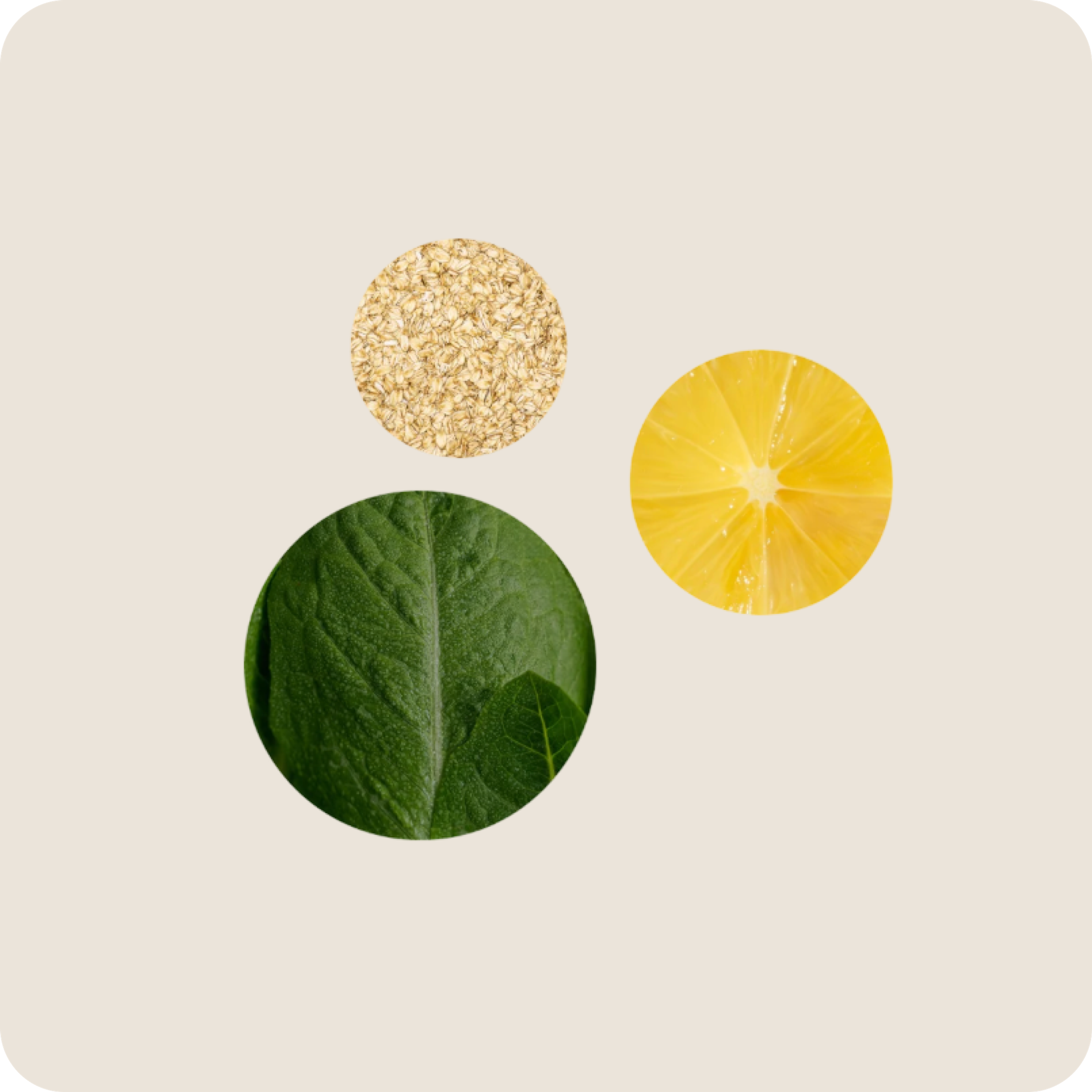 Circular images of grains, a lemon slice, and a green leaf illustrate nutrients in a food matrix.