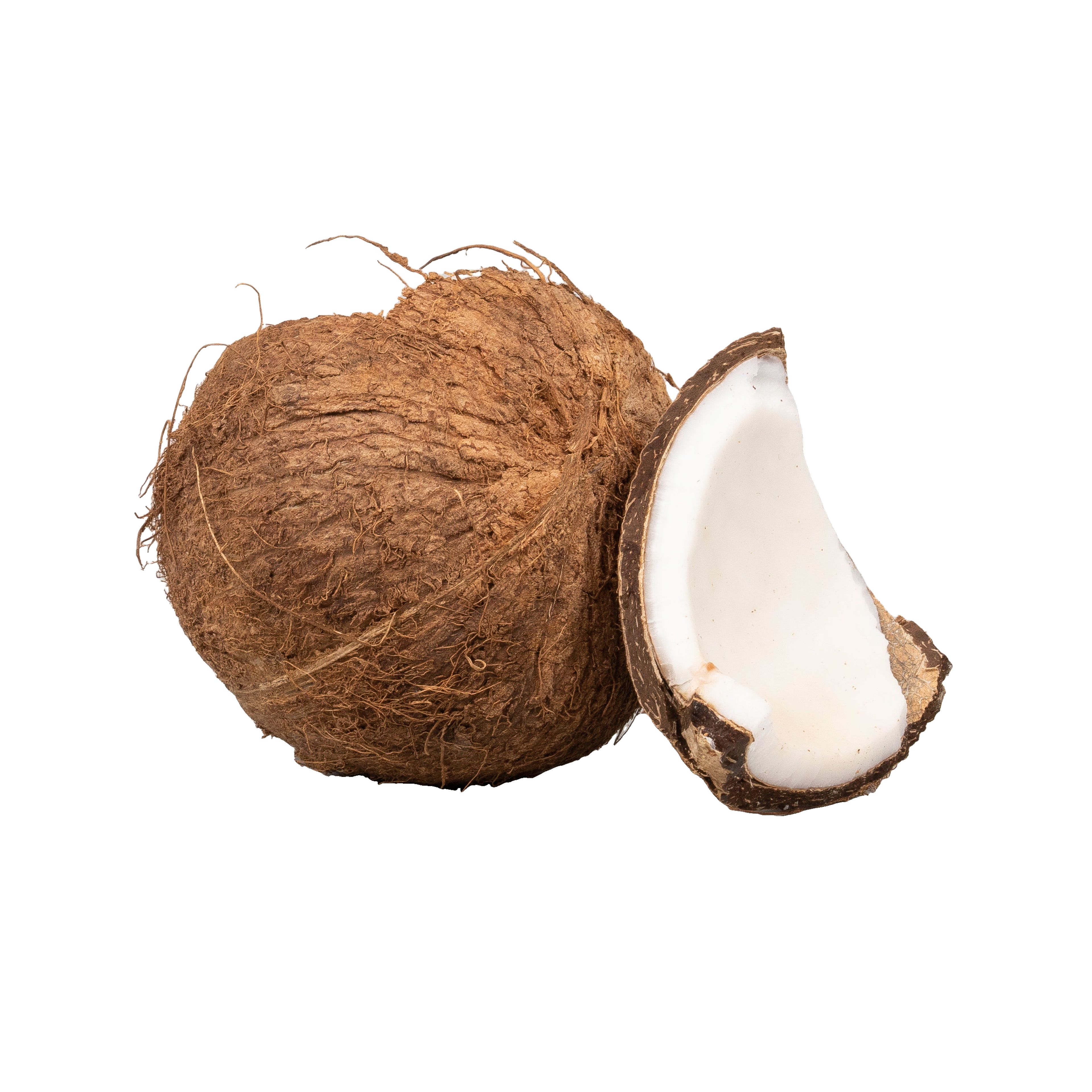 Whole and halved coconuts, illustrating the coconut source associated with monolaurin.