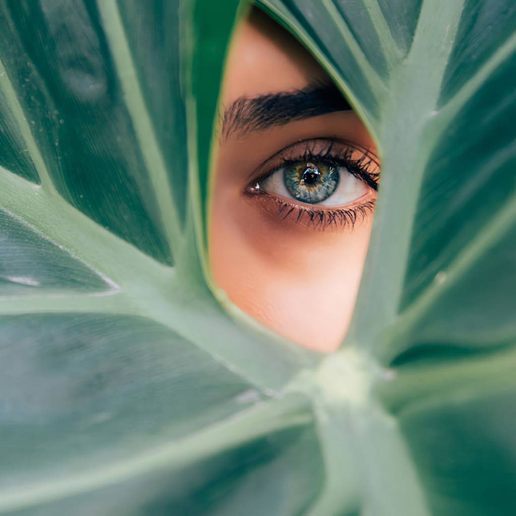Close-up of a person’s blue-green eye peering through large green leaves.