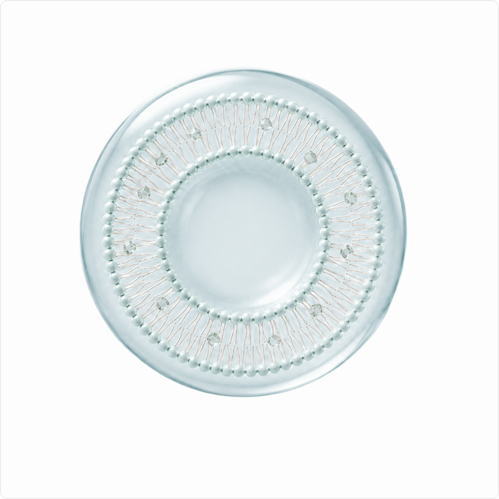 Liposomal membrane cross-section showing a central cavity surrounded by a ring of molecules.