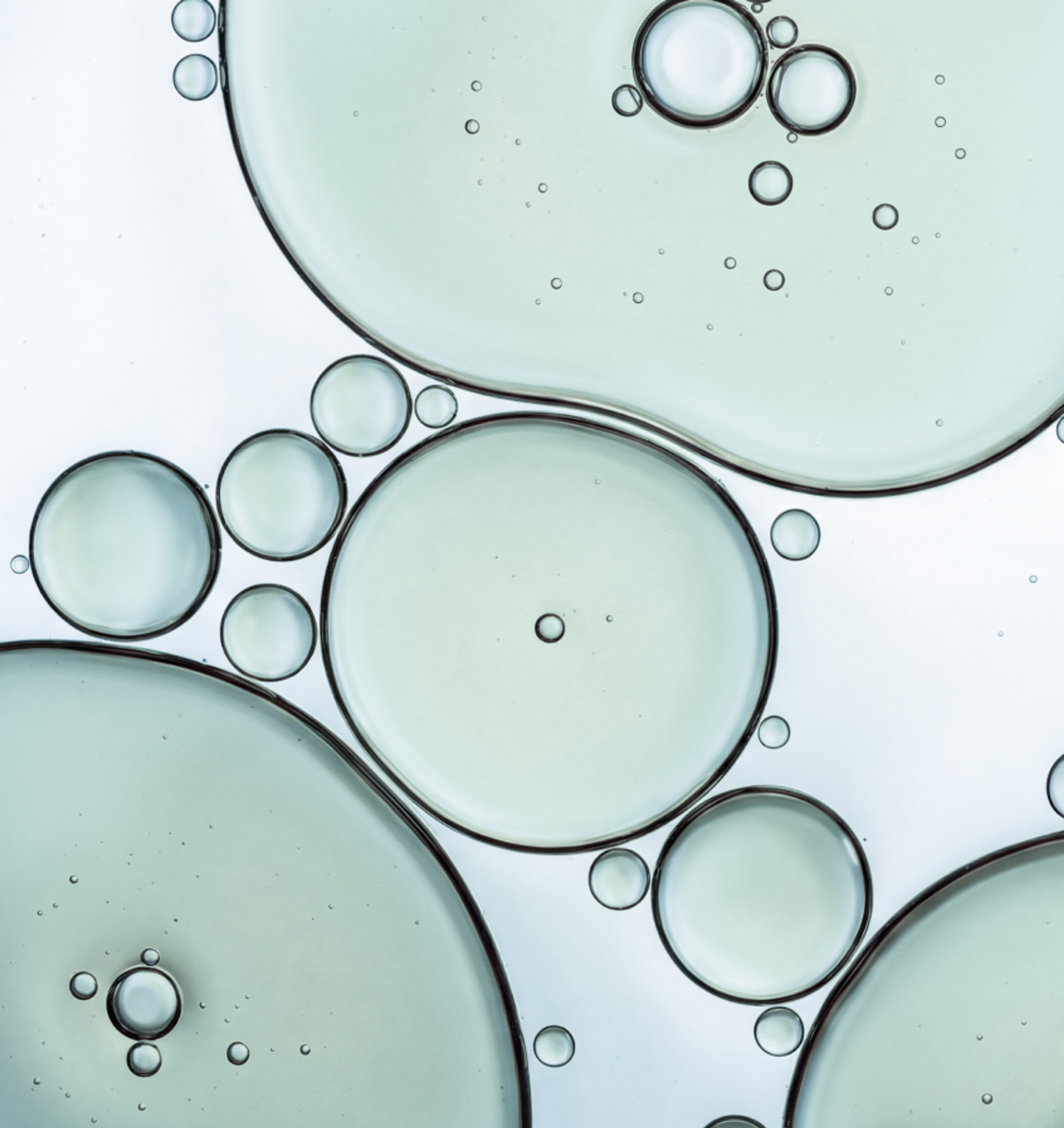 Close-up abstract pattern of pale blue-green circular forms and small bubbles.