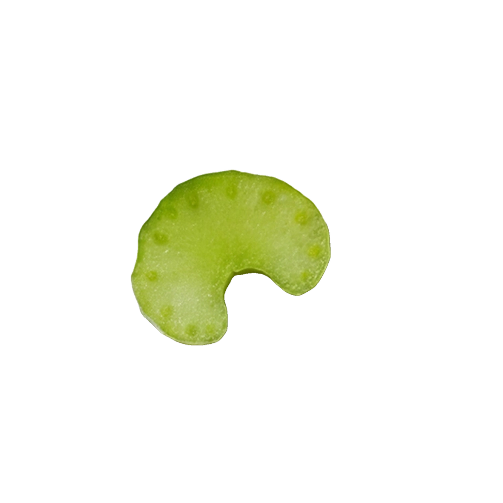 A small, curved, pale-green piece with a mottled surface.