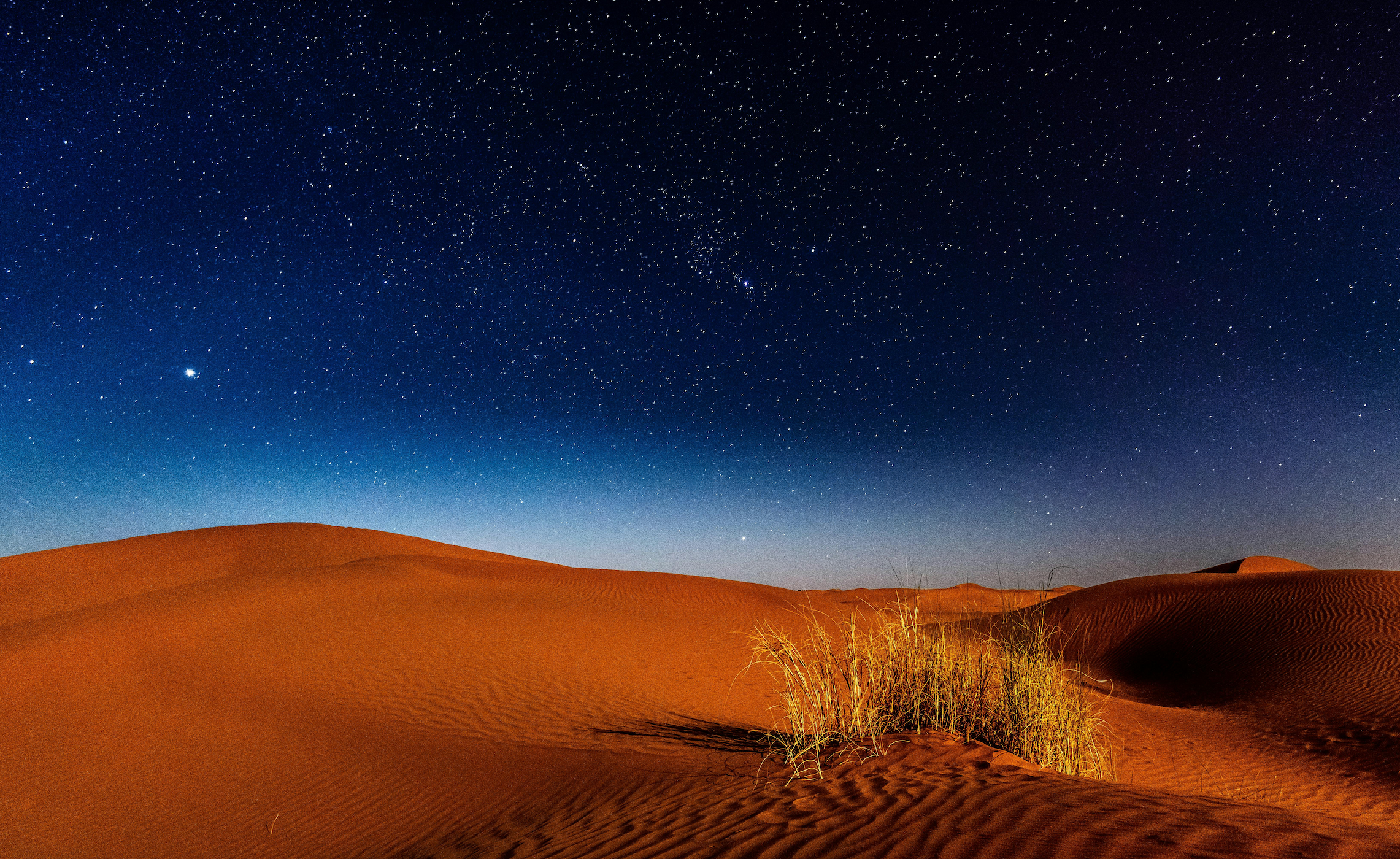 Orange sand dunes and dry grass beneath a star-filled night sky
