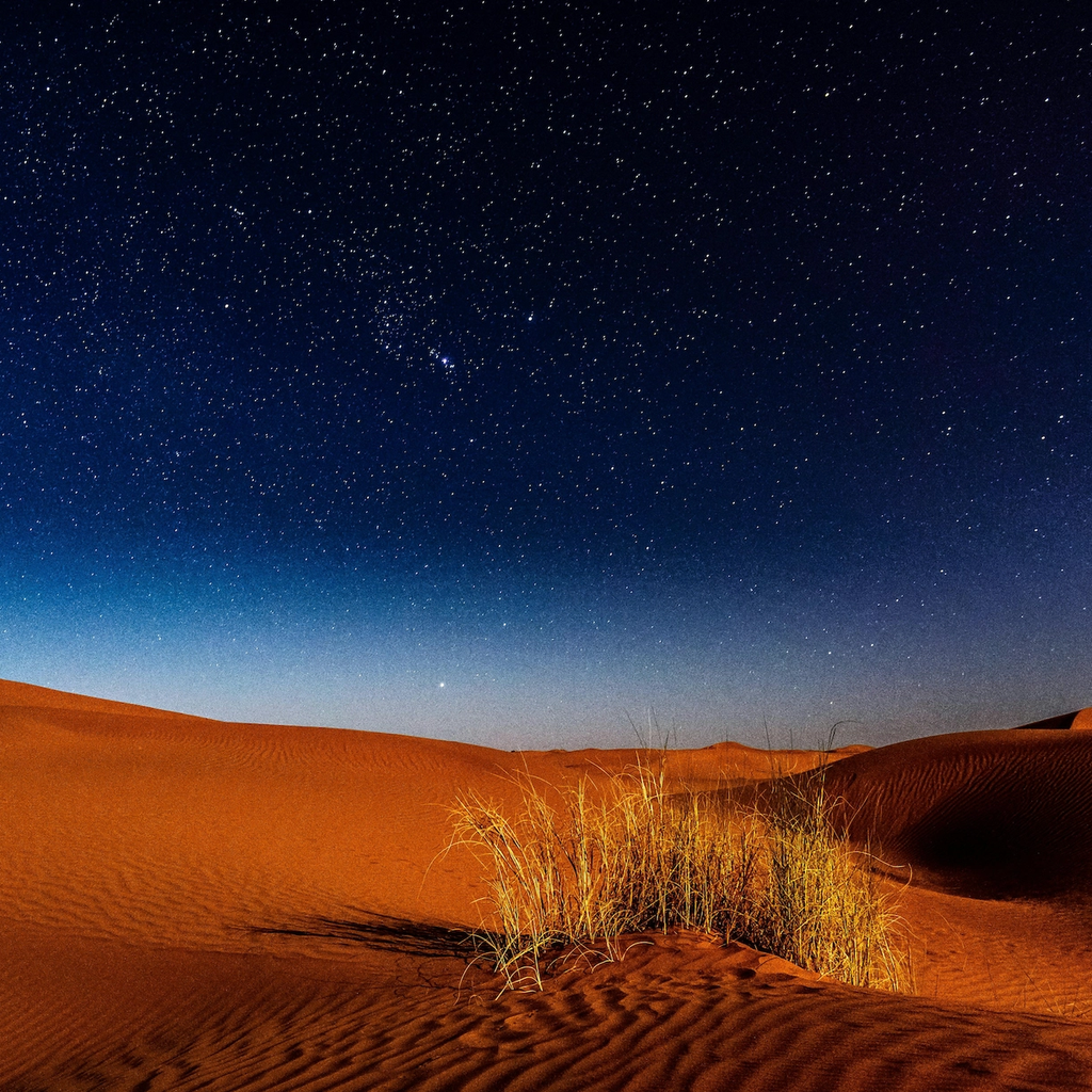 Orange sand dunes and dry grass beneath a star-filled night sky