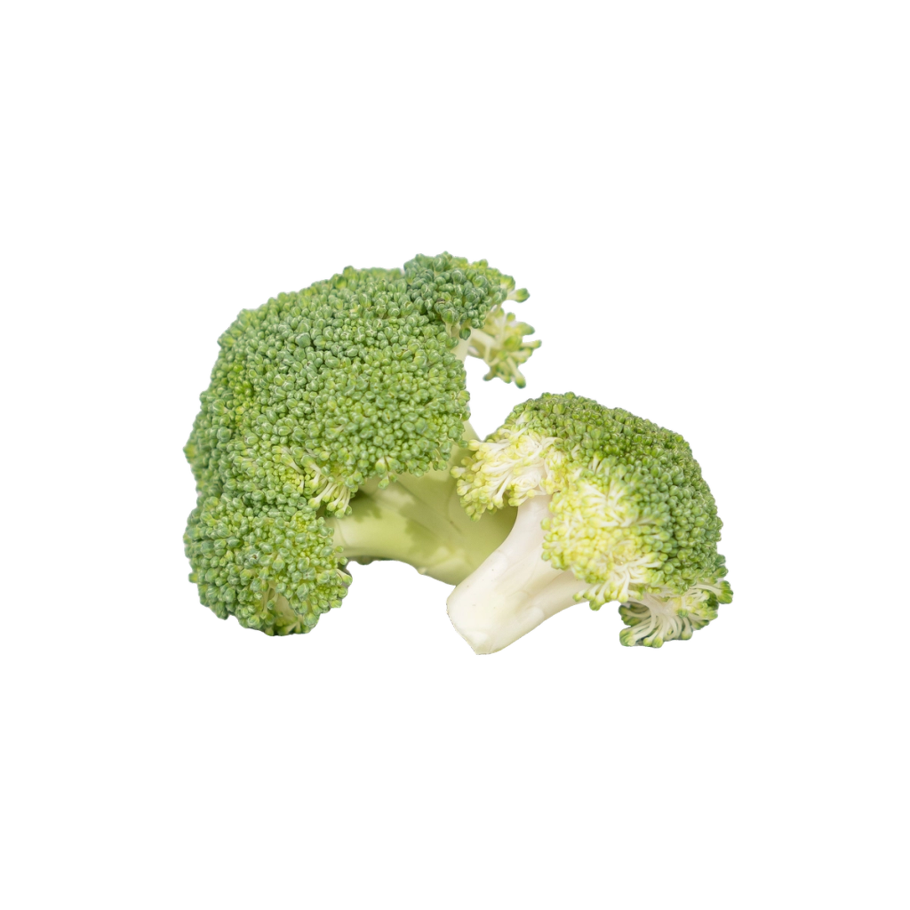 Two green broccoli florets, illustrating the broccoli seed extract ingredient.