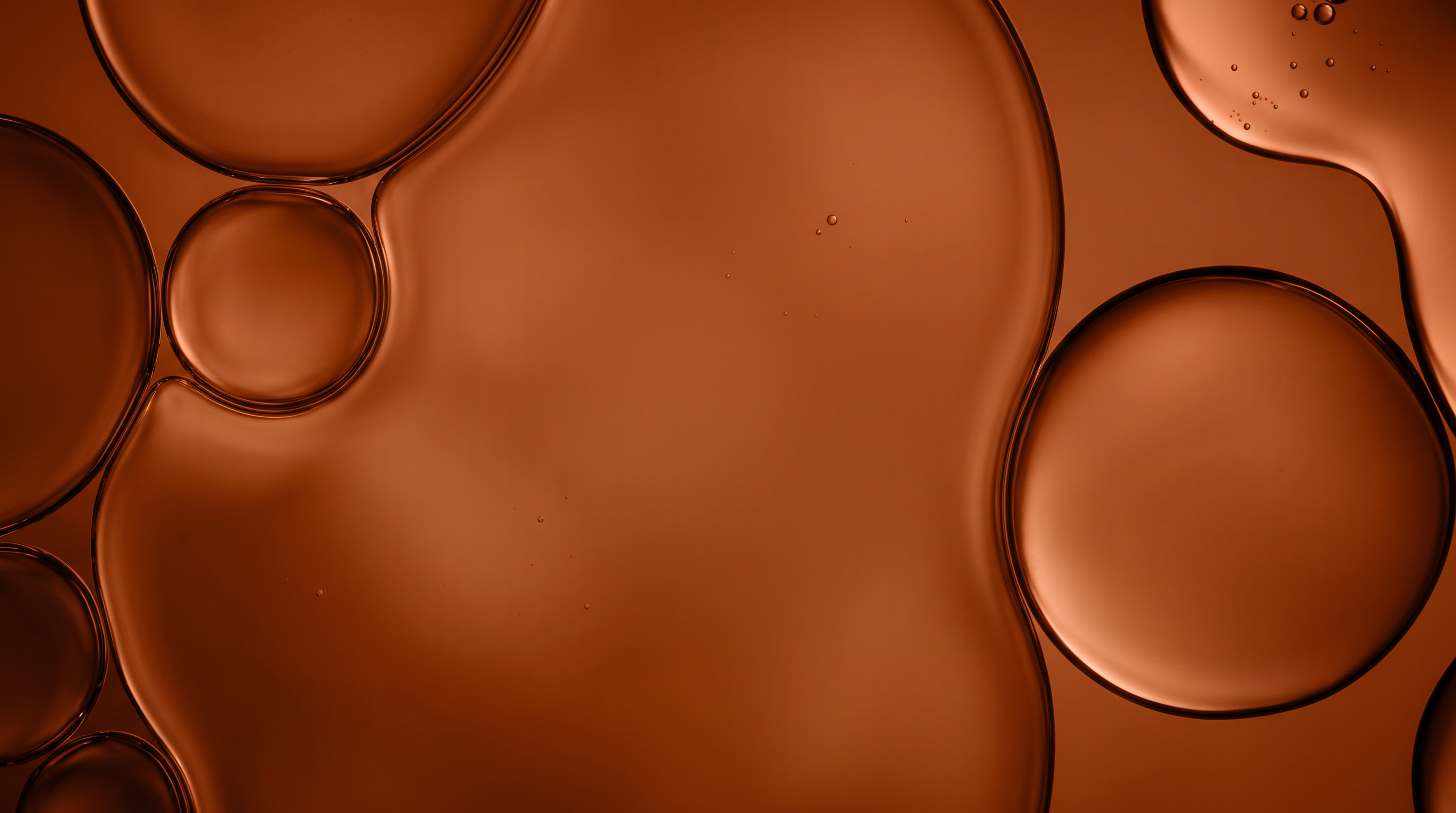 Abstract close-up of amber-colored liquid bubbles, used as a visual for the Immunity supplement tab.