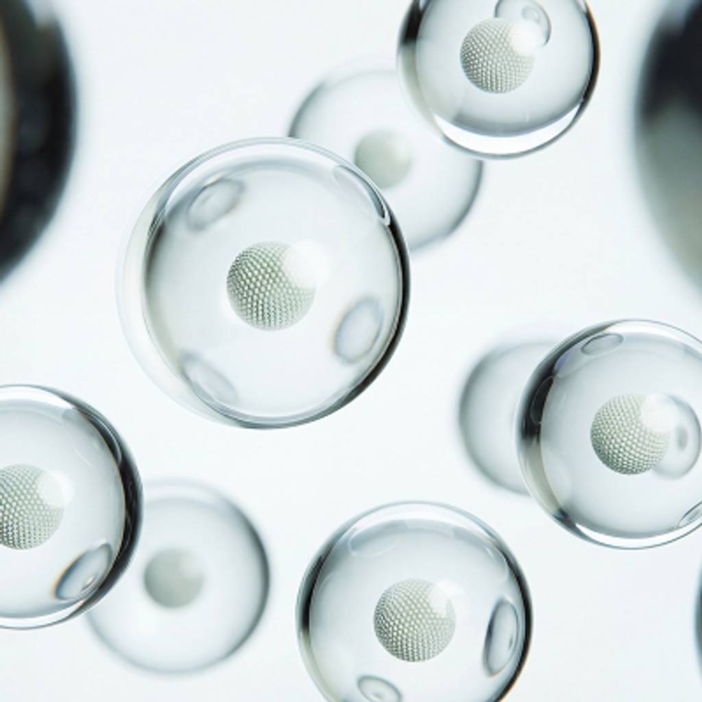 Rounded translucent forms with textured spheres at their centers, illustrating the absorption statistic.