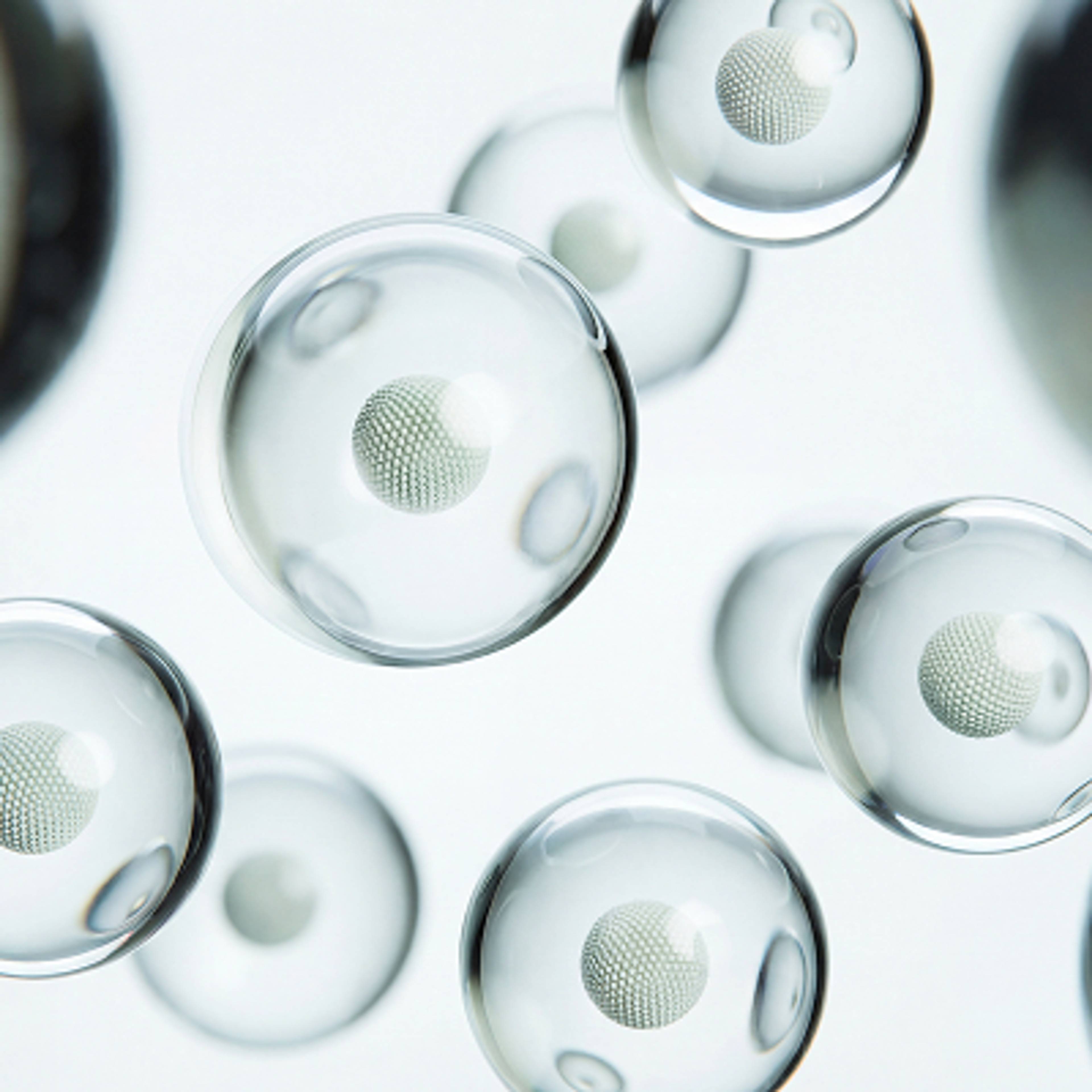 Rounded translucent forms with textured spheres at their centers, illustrating the absorption statistic.