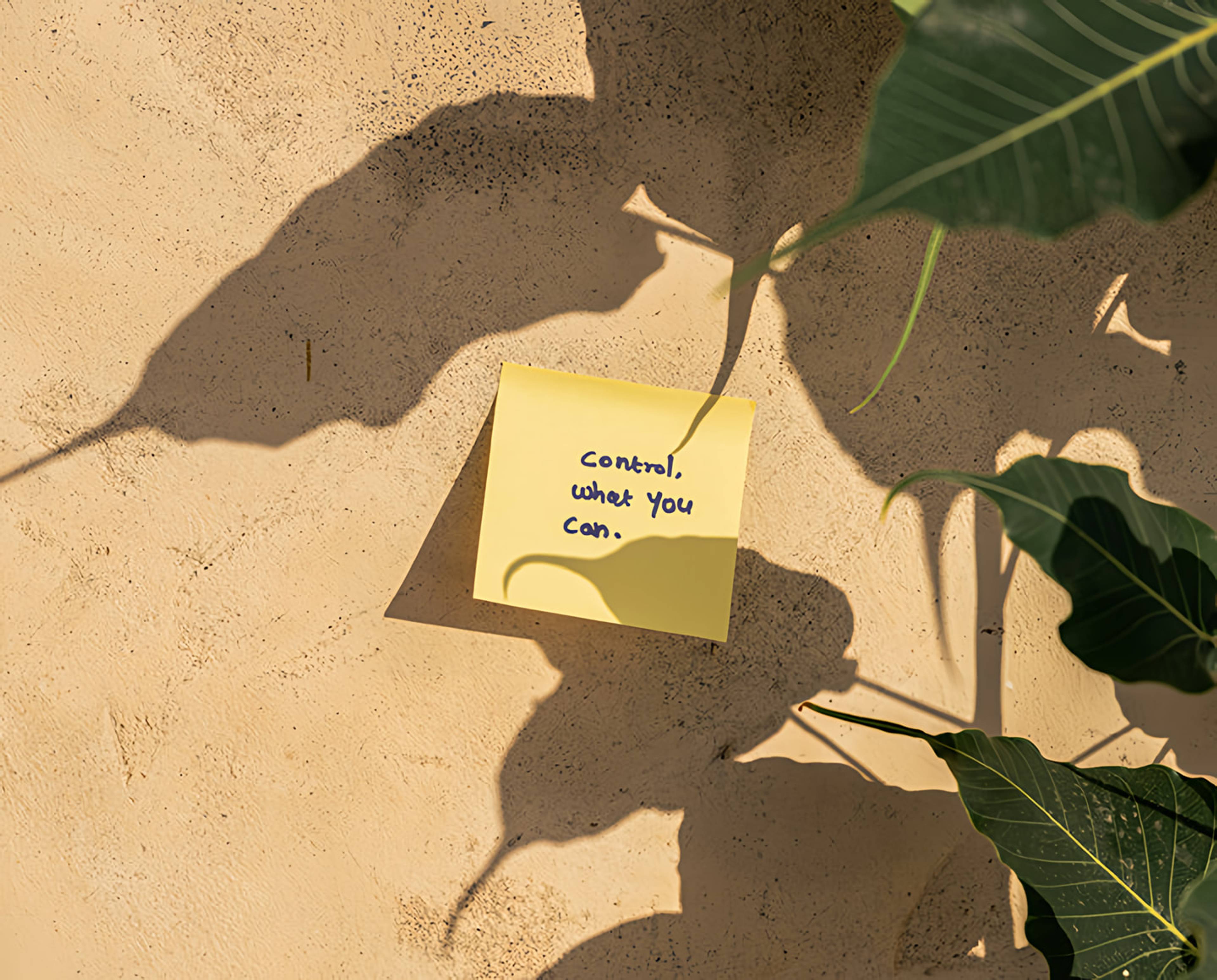 Yellow sticky note reading “Control, what you can.” on a sunlit textured wall with leafy shadows.