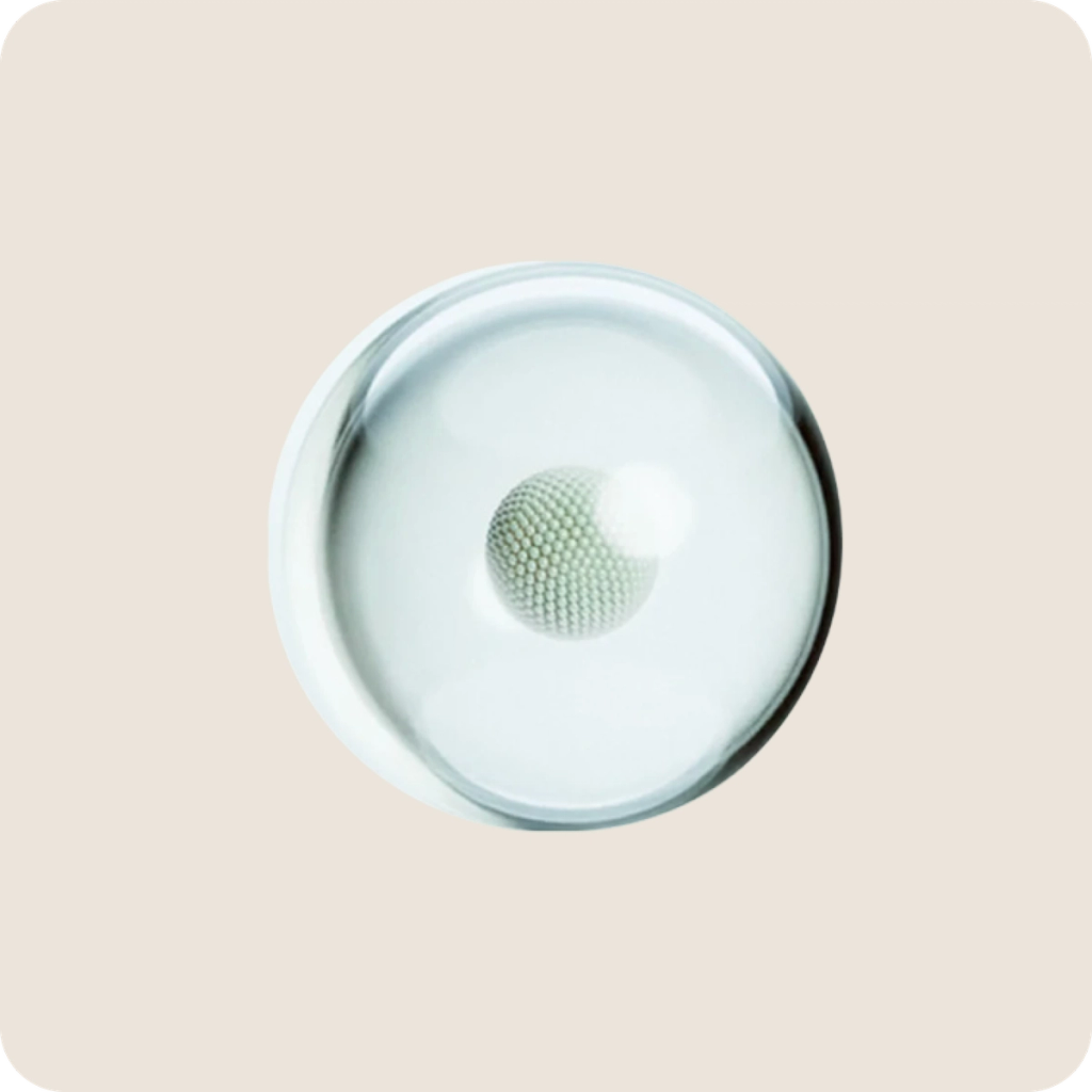 A small textured sphere centered inside a larger translucent sphere, accompanying the liposomal delivery section.