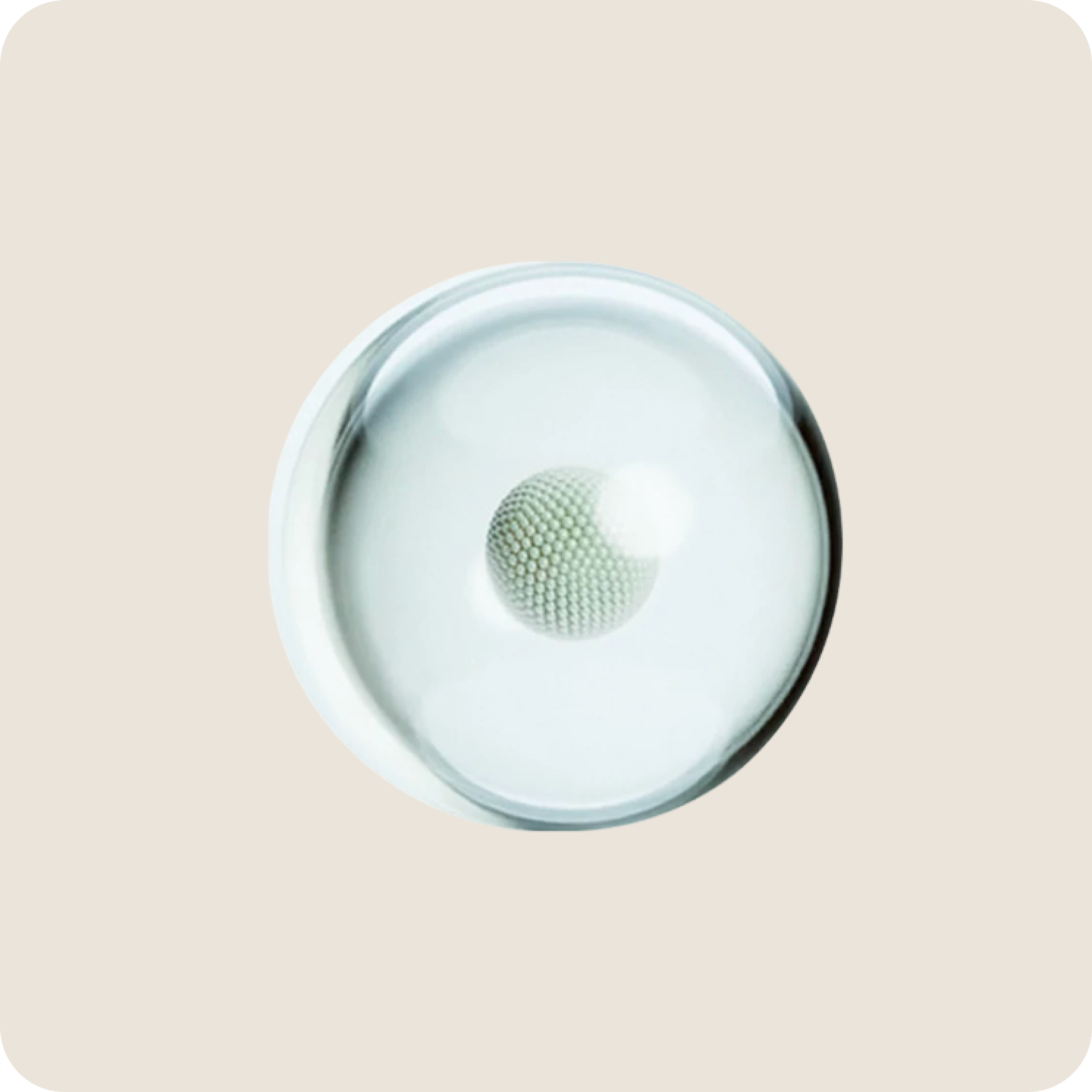 A small textured sphere centered inside a larger translucent sphere, accompanying the liposomal delivery section.
