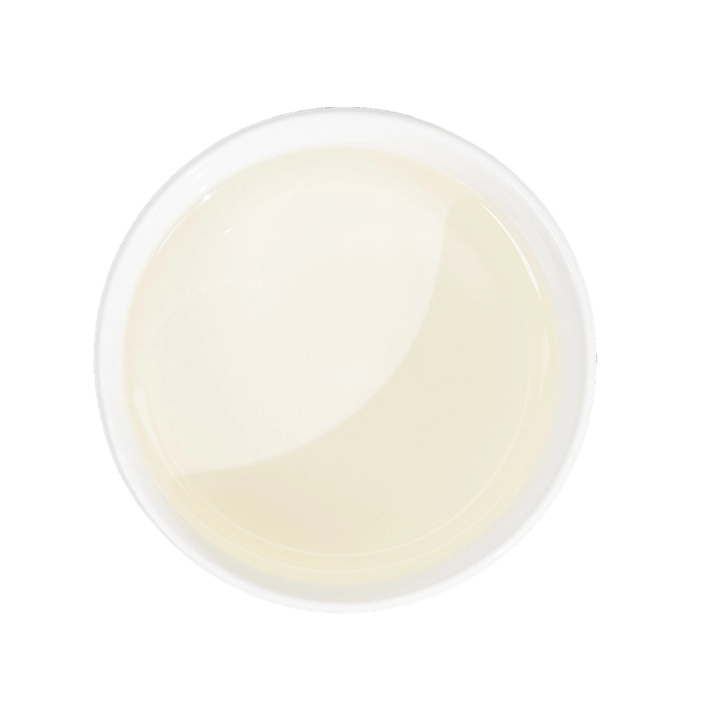 Top-down view of a shallow dish holding pale cream-colored liquid, used to represent Vitamin D3 derived from lichen.