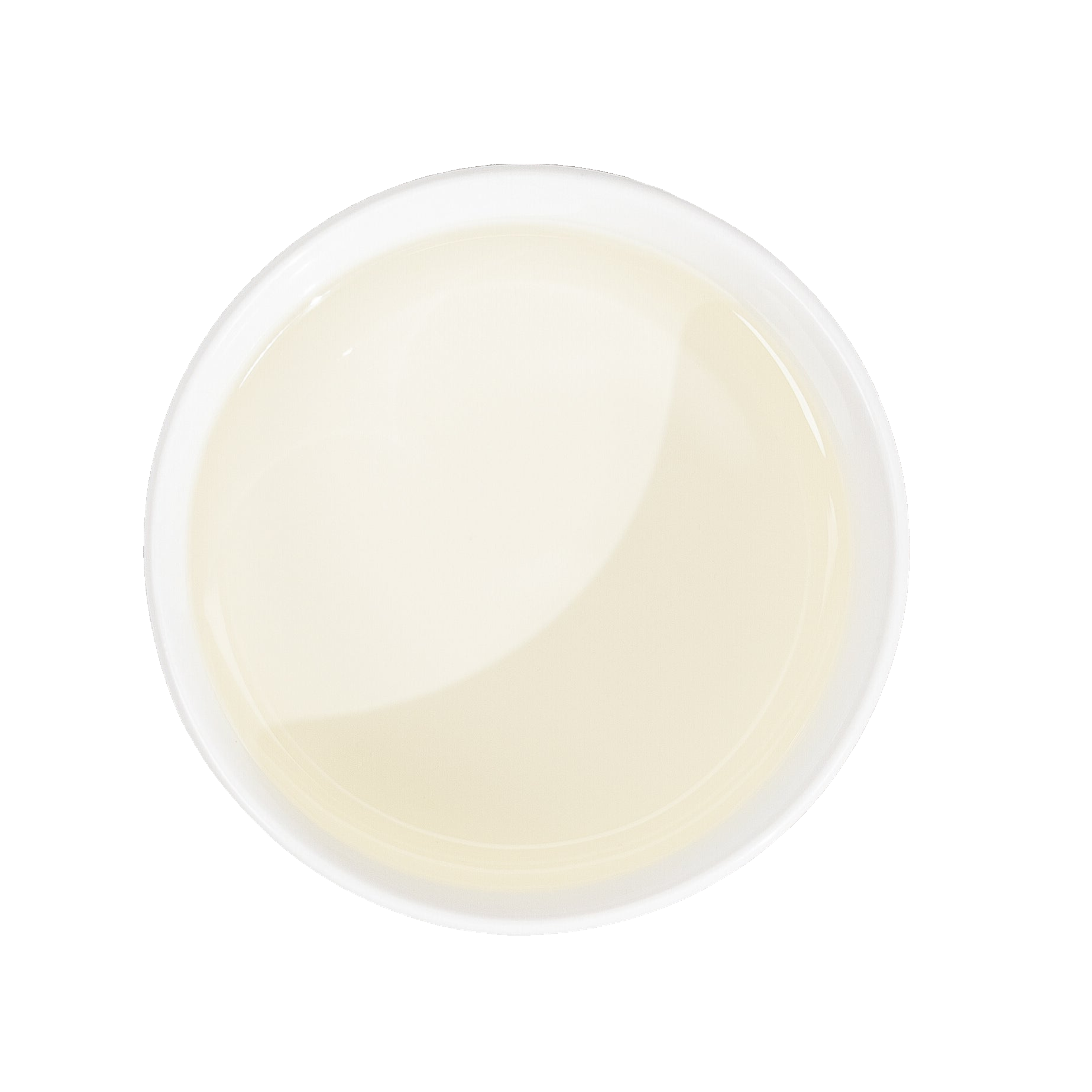 Top-down view of a shallow dish holding pale cream-colored liquid, used to represent Vitamin D3 derived from lichen.