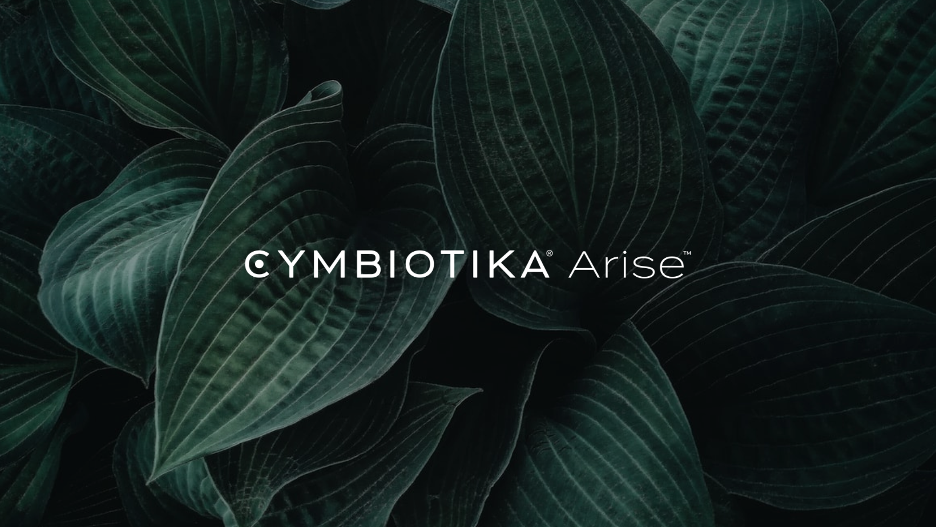 Dark green layered leaves with centered Cymbiotika Arise text.