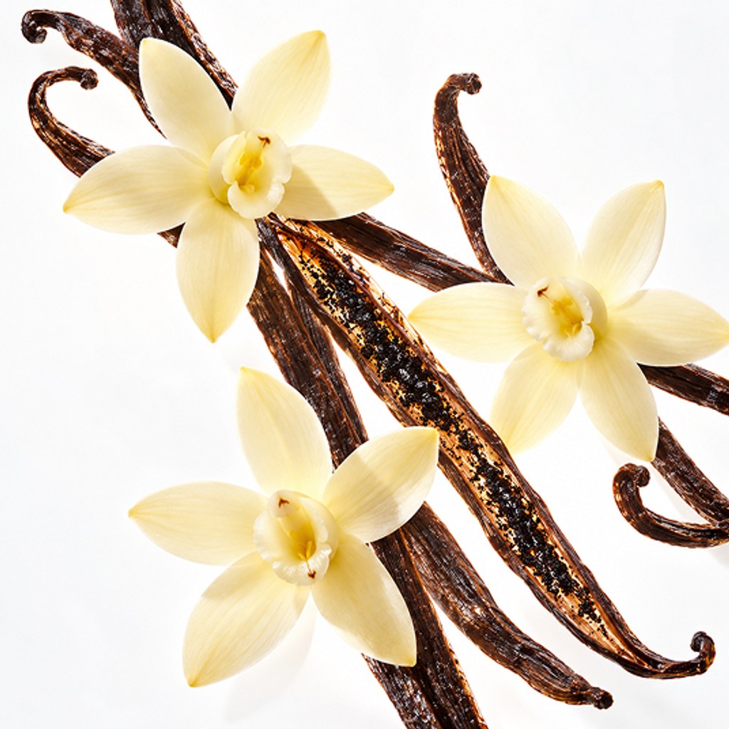 Vanilla