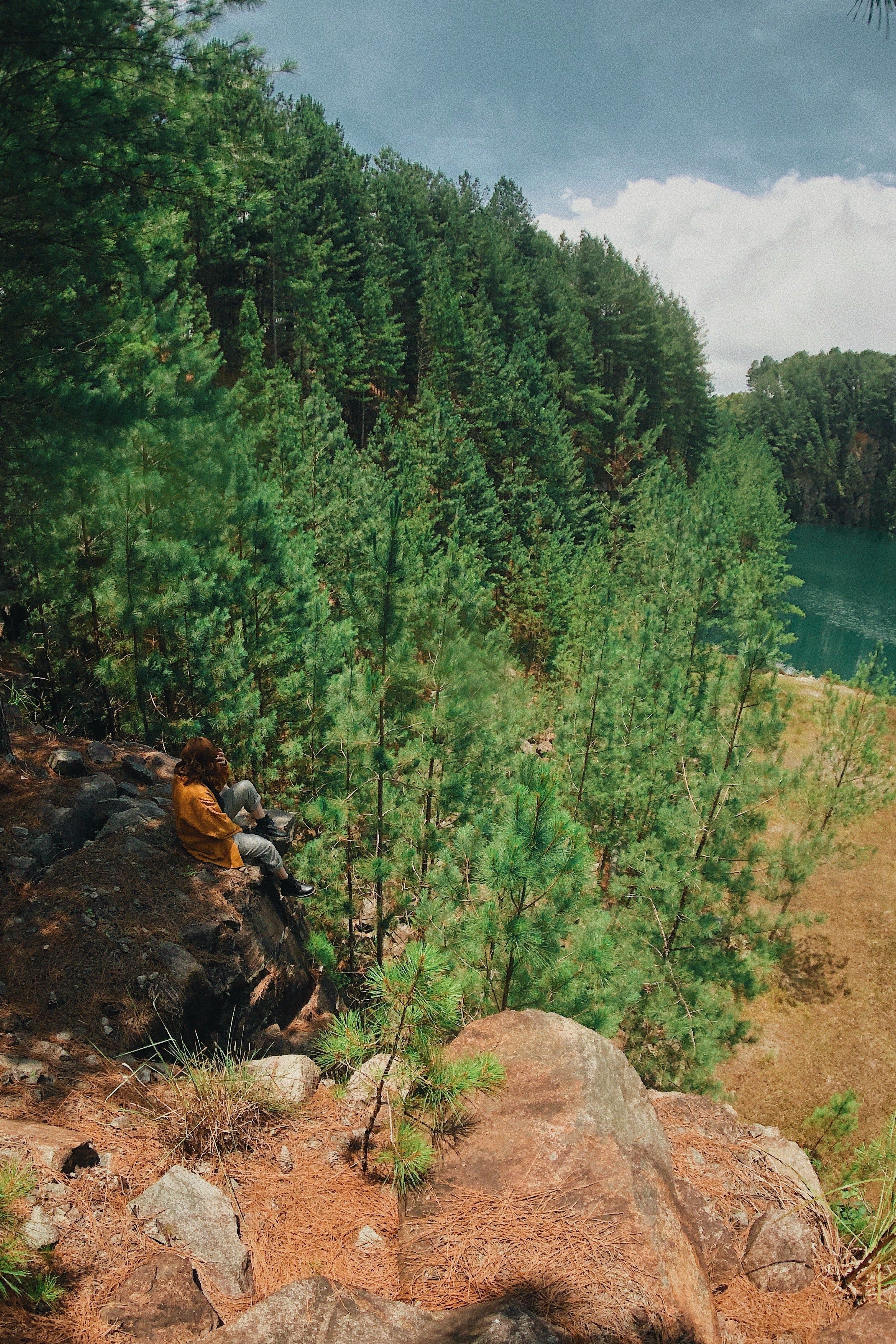 Person in an orange jacket sitting on rocky ground above a pine forest and lake.