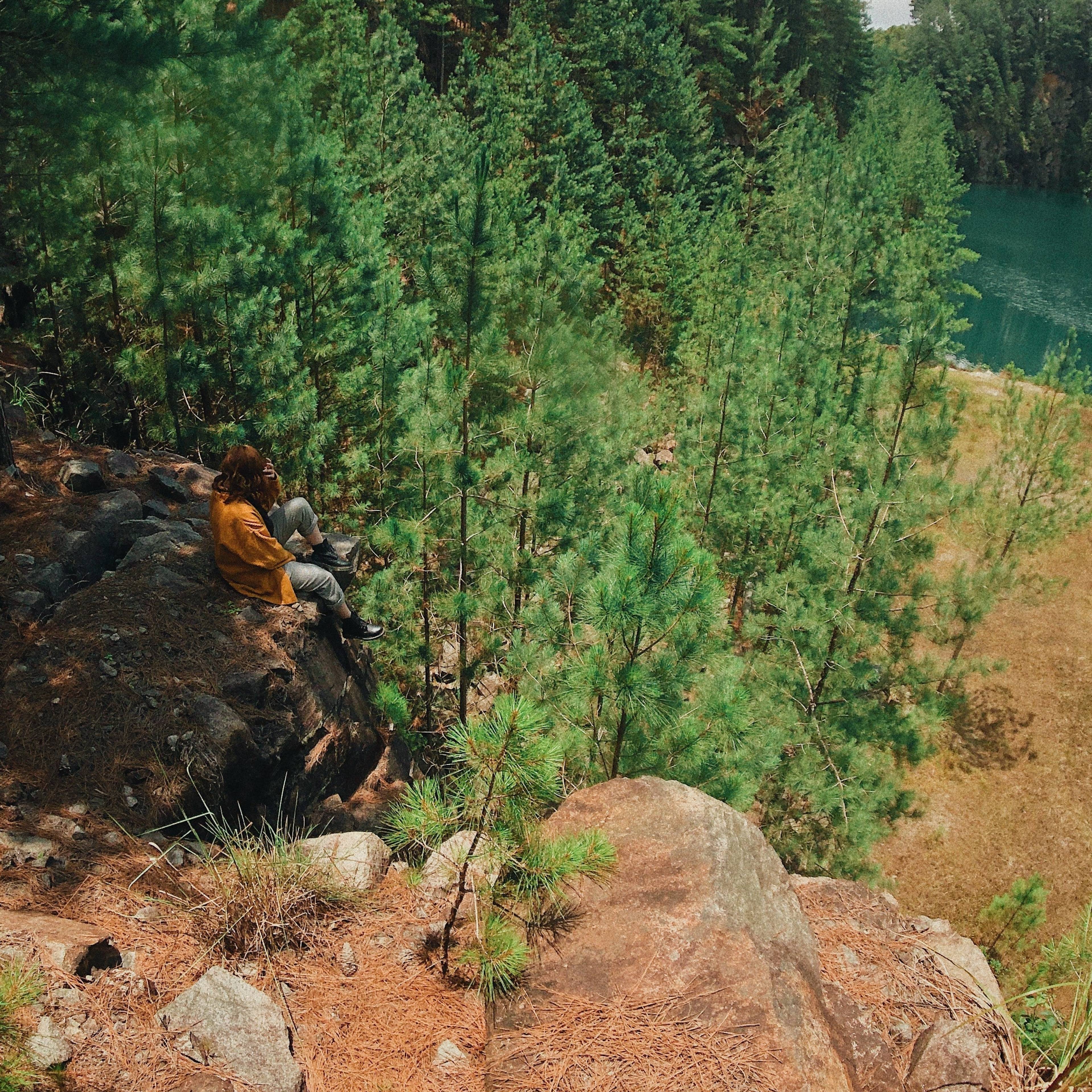 Person in an orange jacket sitting on rocky ground above a pine forest and lake.