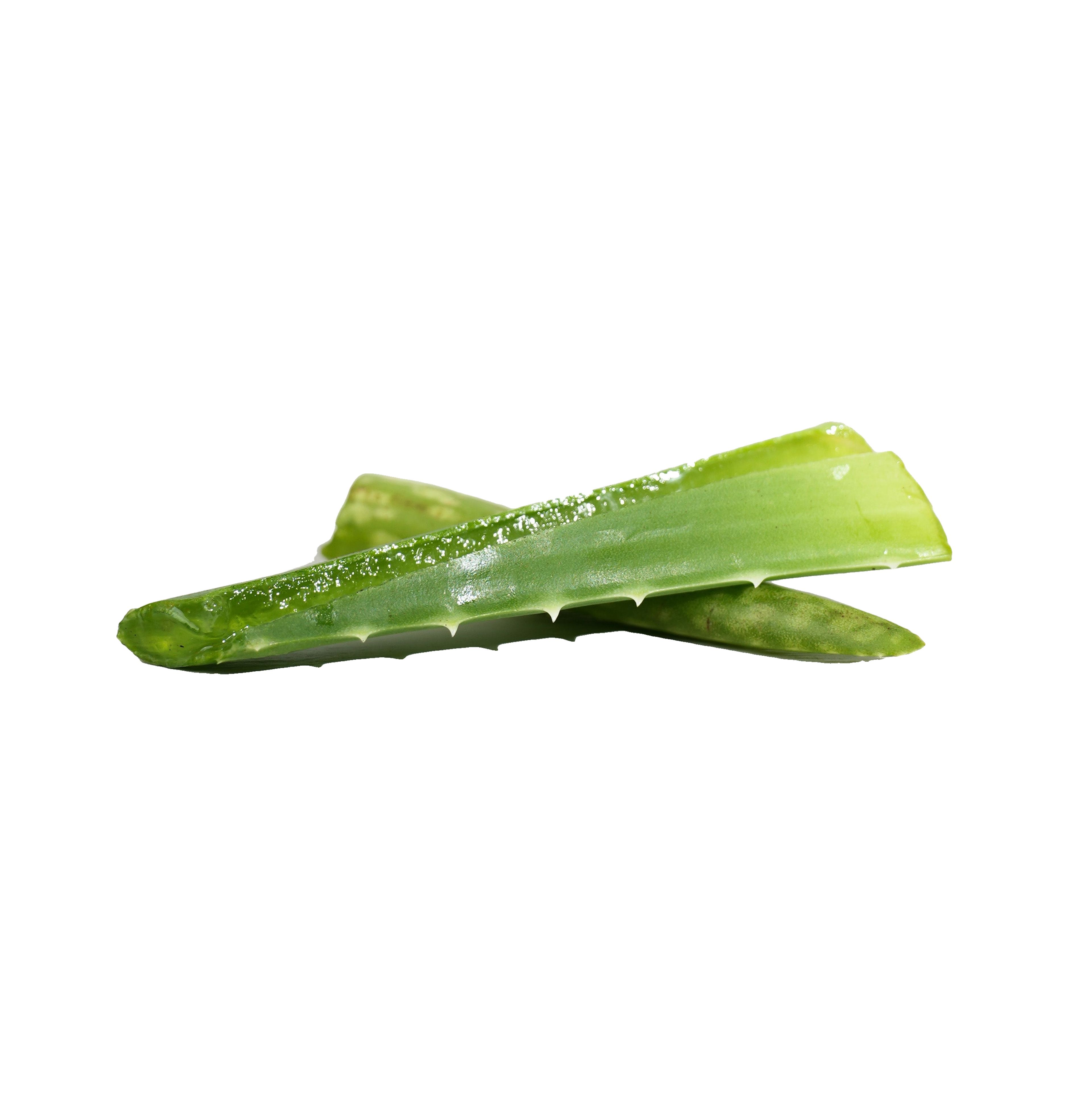 Two cut green aloe vera leaves, one split open to reveal its translucent gel, for the Aloe Vera Leaf Extract ingredient.