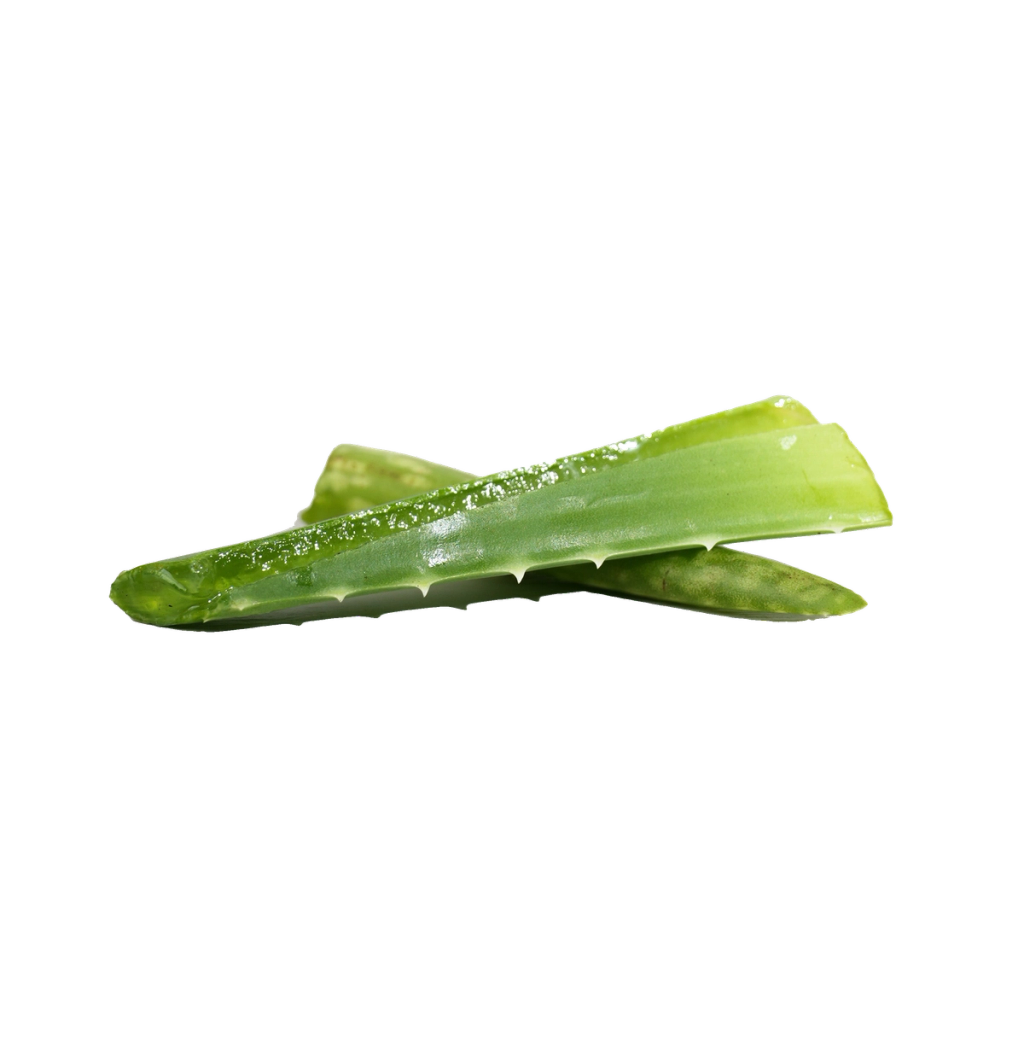 Two cut green aloe vera leaves, one split open to reveal its translucent gel, for the Aloe Vera Leaf Extract ingredient.