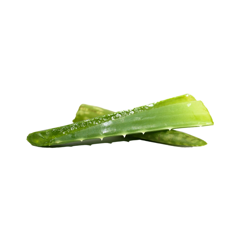 Two cut green aloe vera leaves, with translucent gel visible in the cut edges.