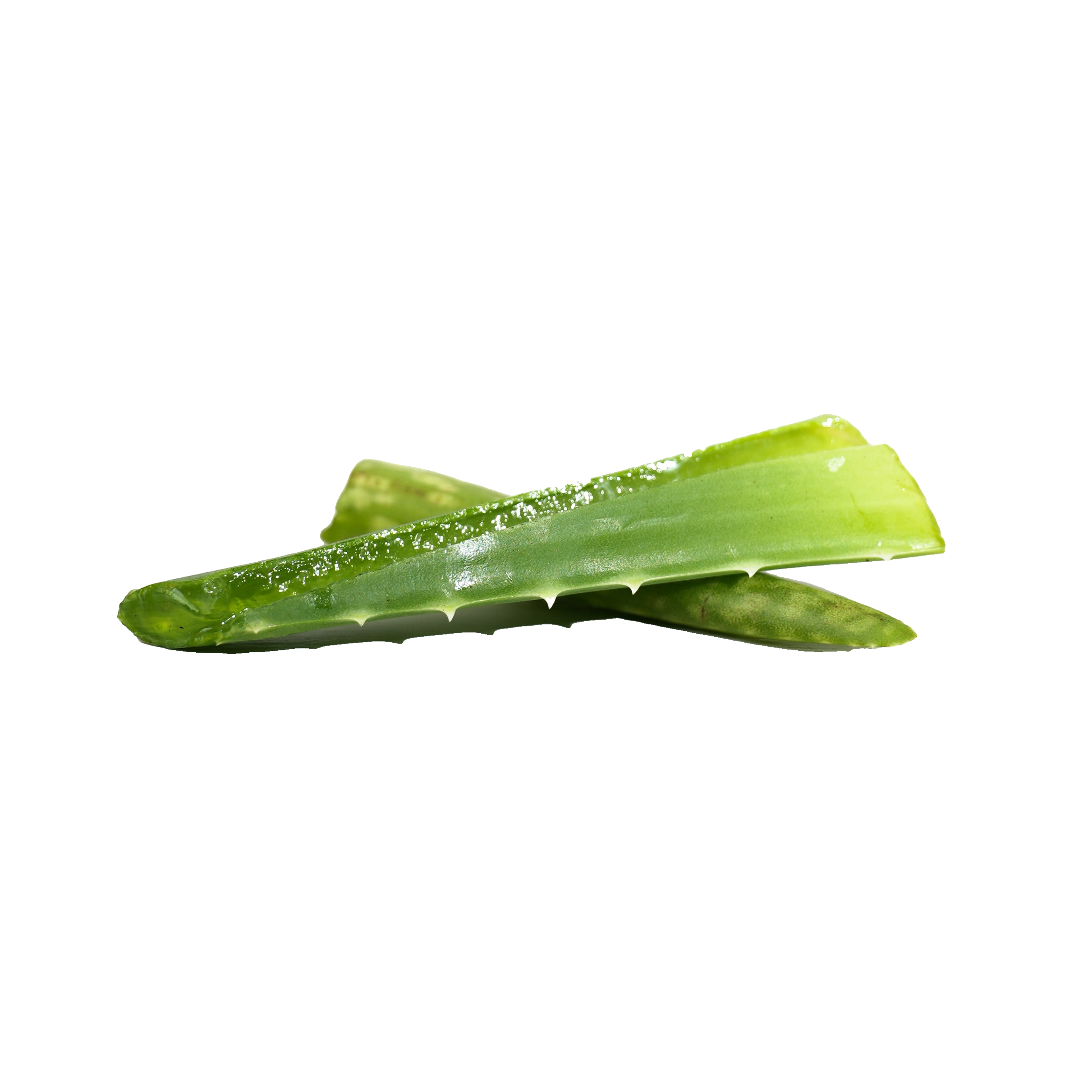 Two cut green aloe vera leaves, with translucent gel visible in the cut edges.
