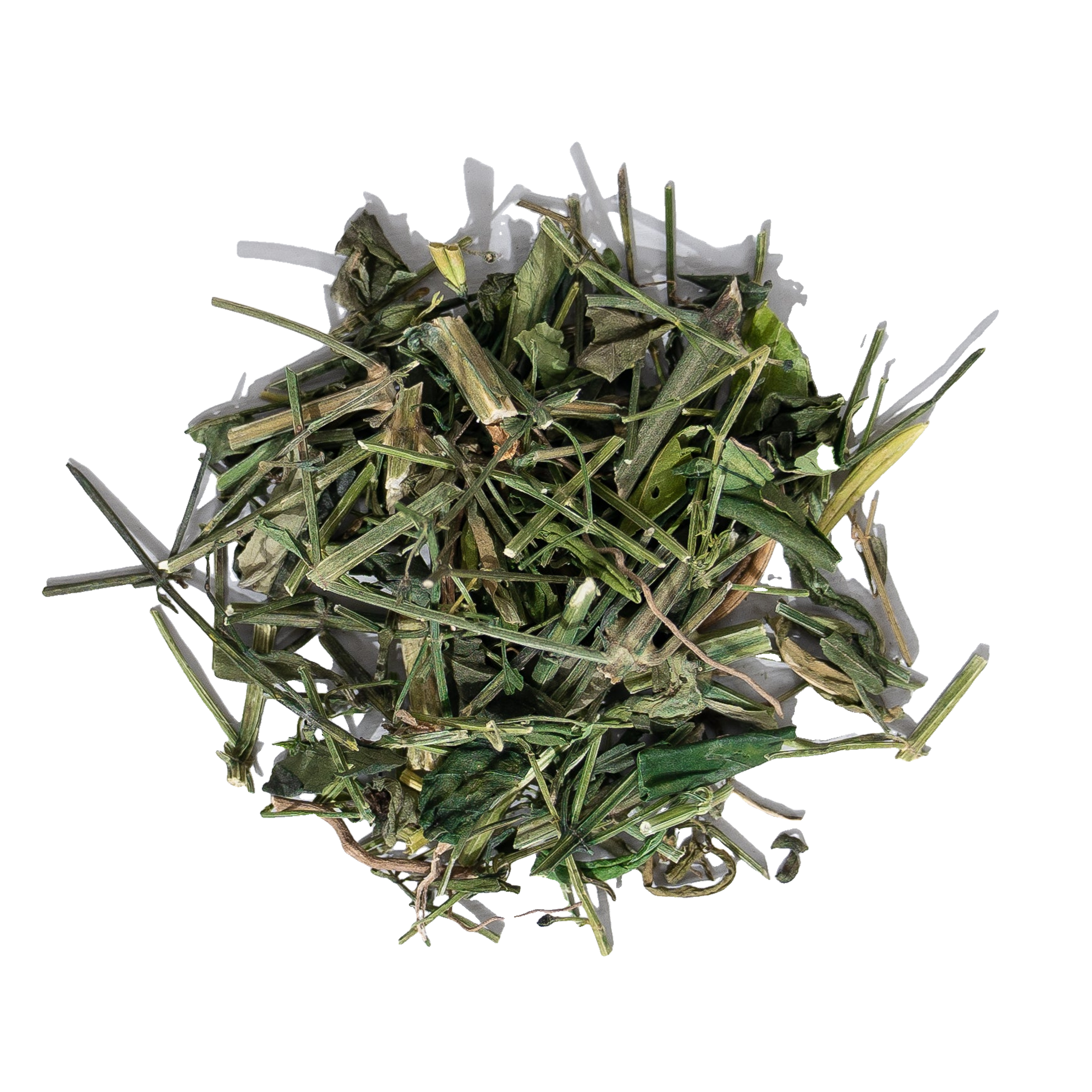 A pile of dried green leaves and stems, illustrating the plant source associated with andrographolide.