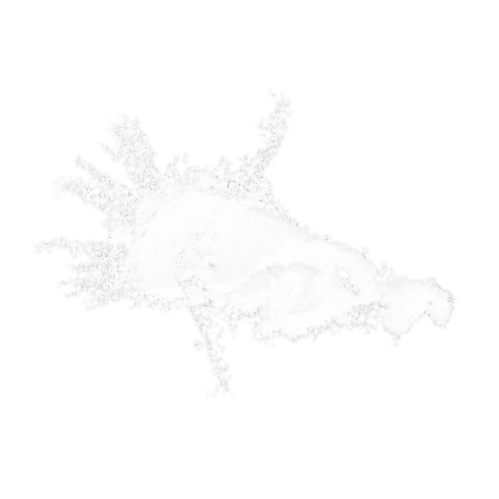 White textured branching form used to illustrate L-Theanine.