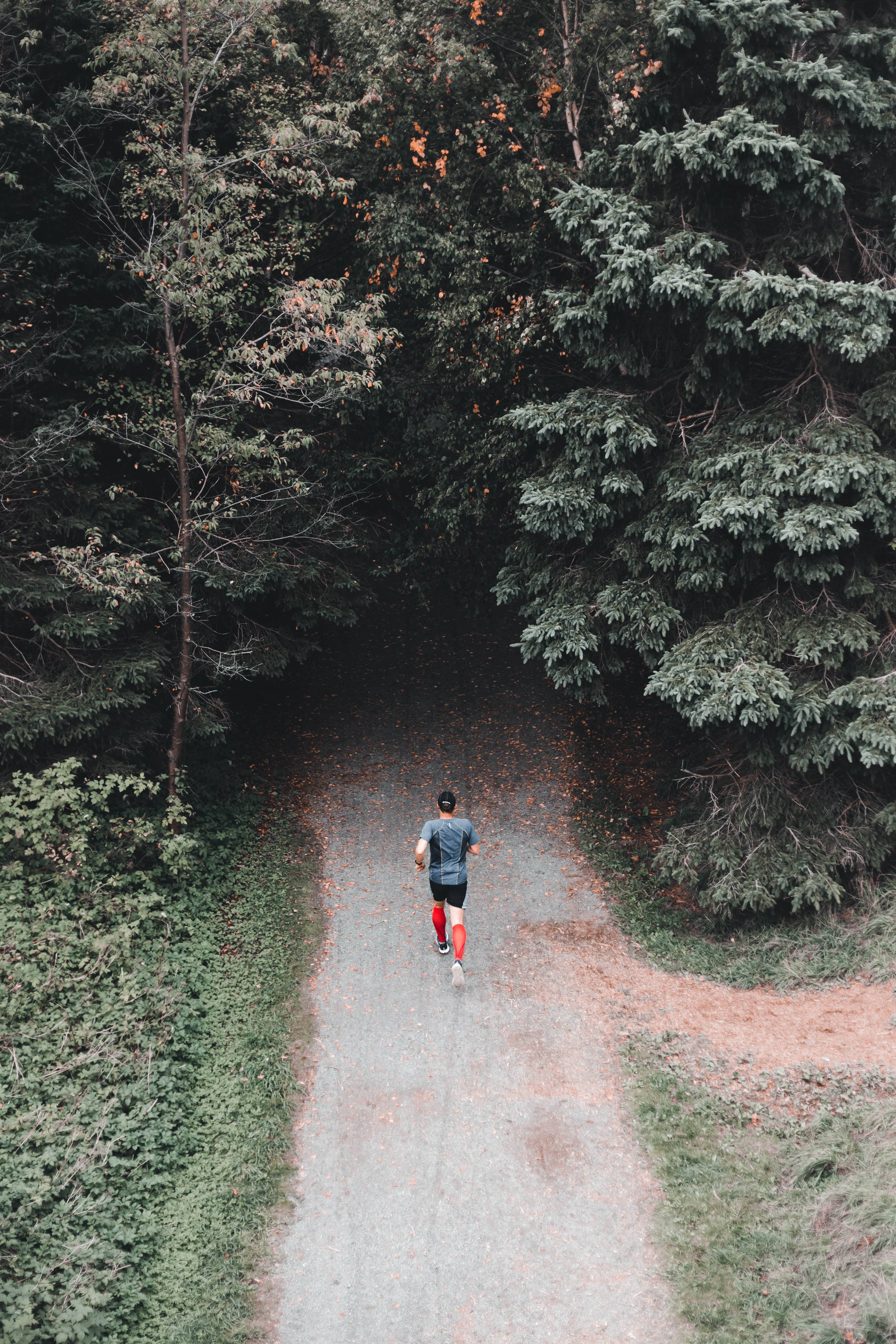 Runner in red knee-high socks on a gravel trail through dense forest.