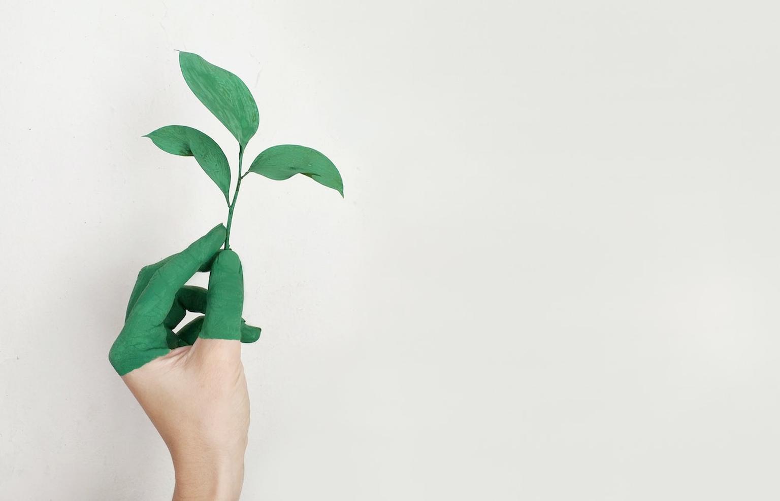 Green-painted hand holding green leaves embracing sustainability