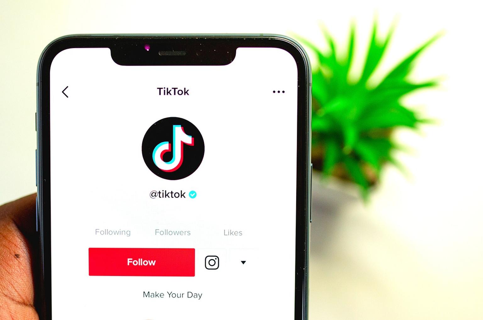 Tiktok profile presented on a phone screen