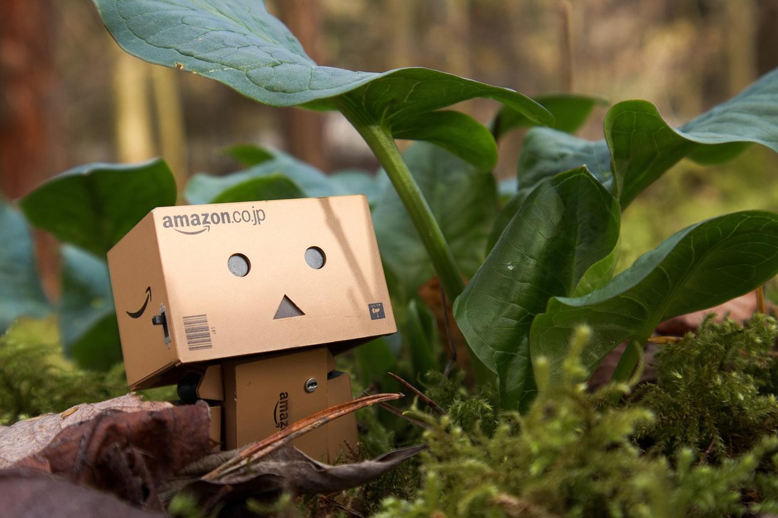 Amazon box avatar looking stunned among flowers