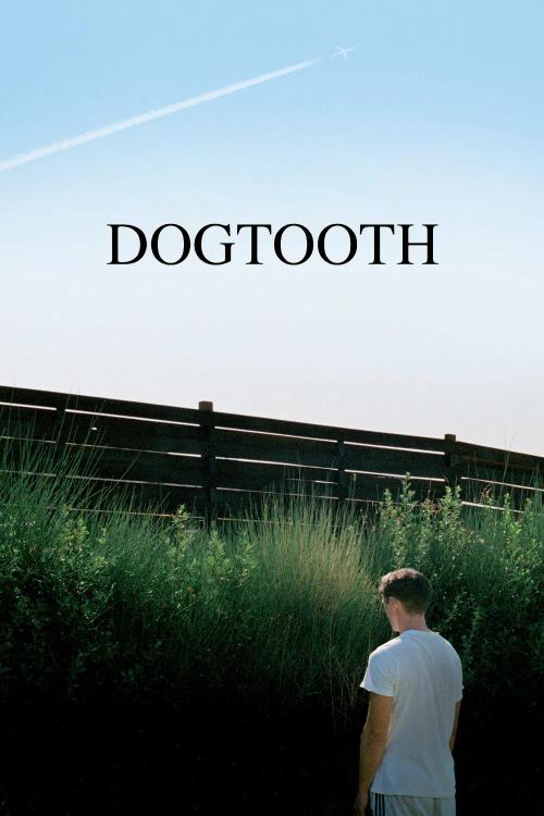 Dogtooth Horror Review