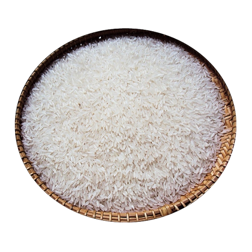 Rice IR50404