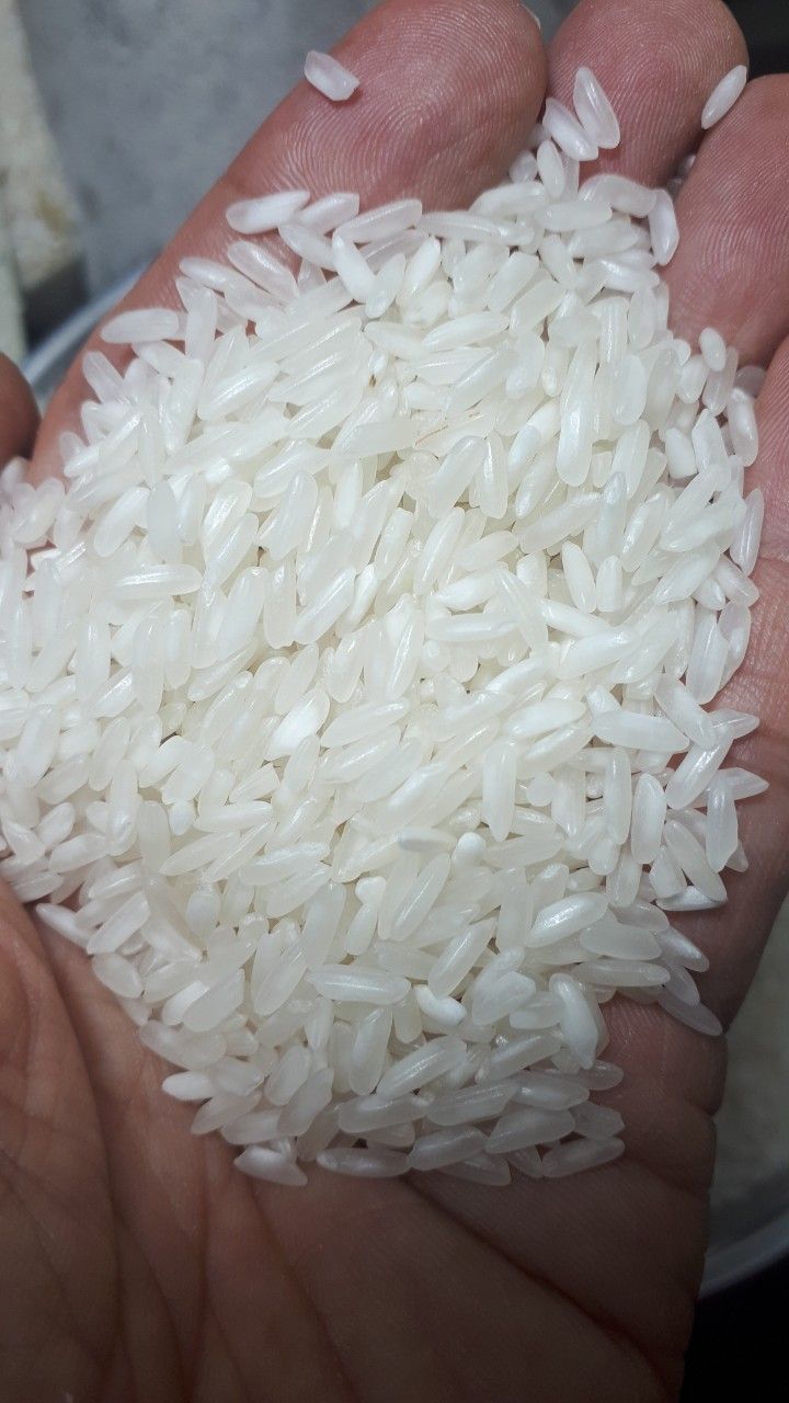 Long grain white rice 50404