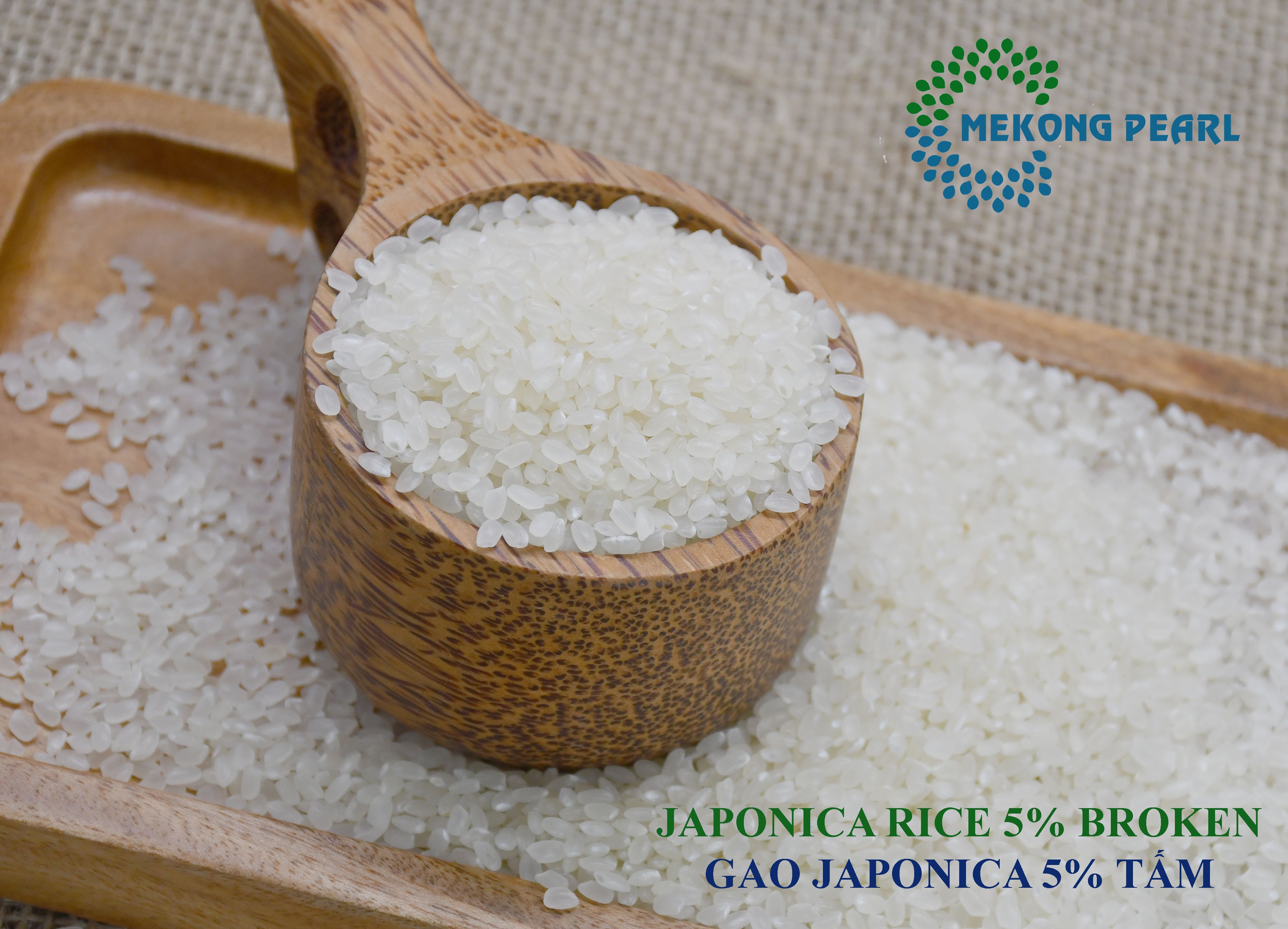 JAPONICA RICE – 5% BROKEN