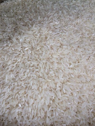 Rice 5451