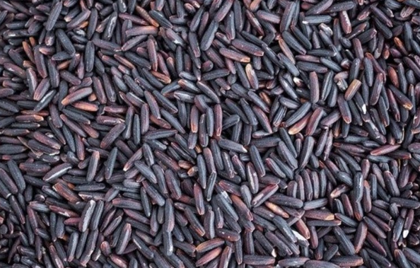 Black Rice