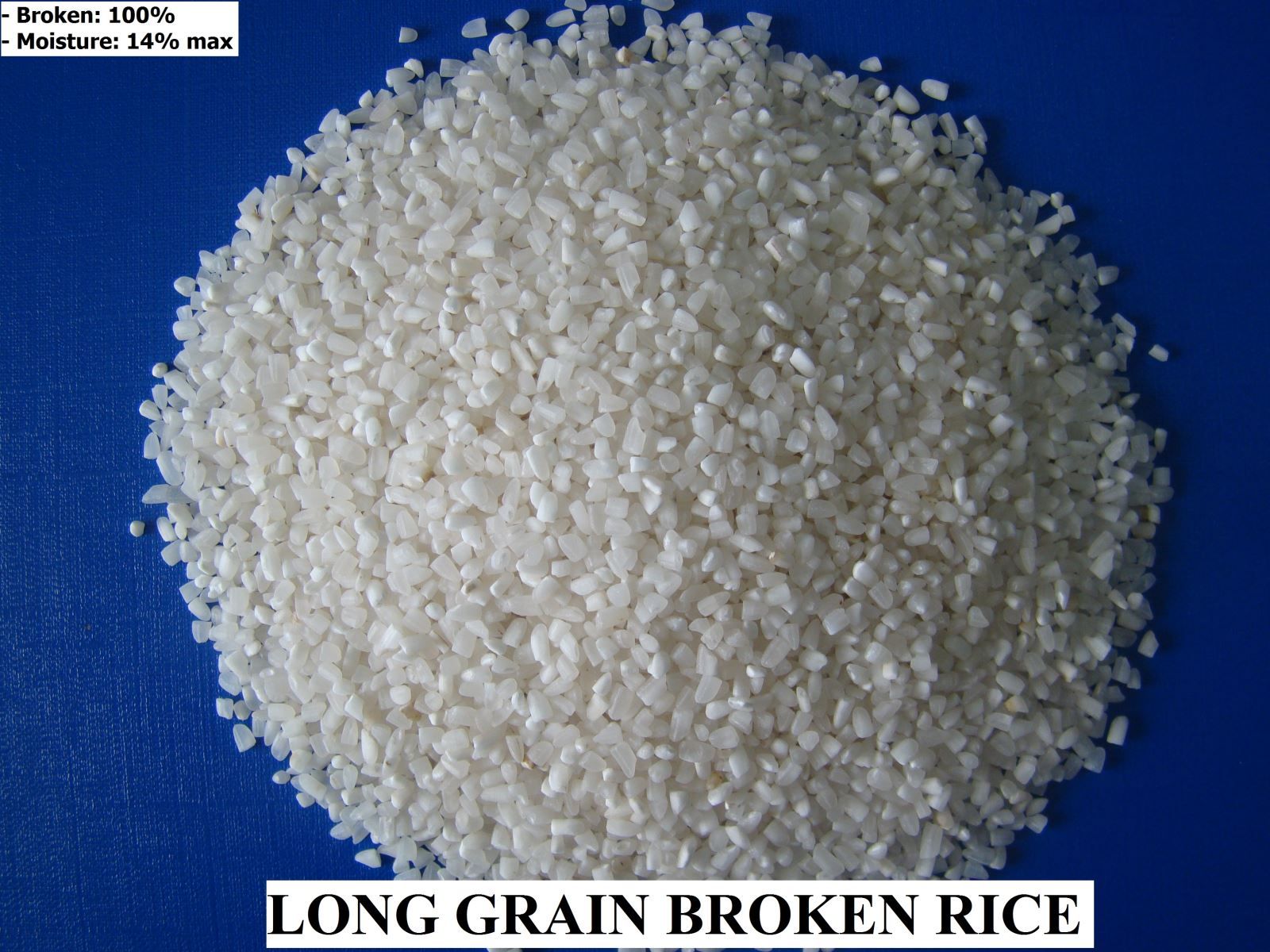 IR50404 100% BROKEN RICE