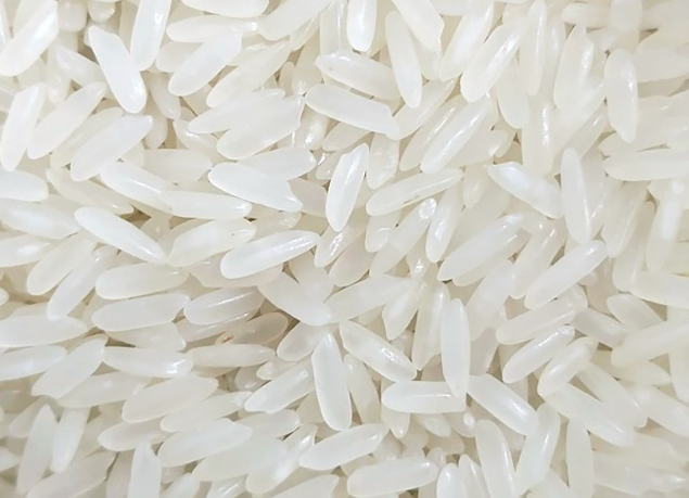 Jasmine fragrant rice