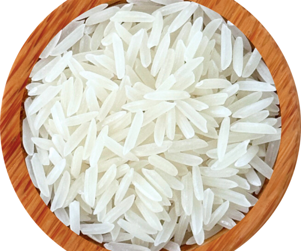 ST25 RICE