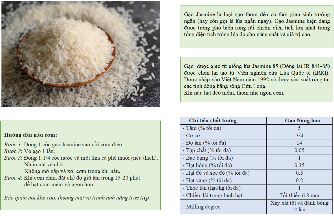 JASMINE RICE