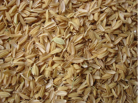 Rice Hulls - PHAT TAI CO.,LTD