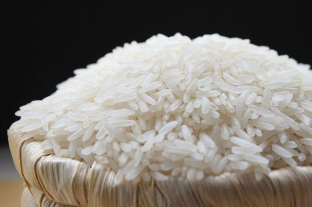 Vietnam Long grain white rice 5451 (5%, 15%, 25%)