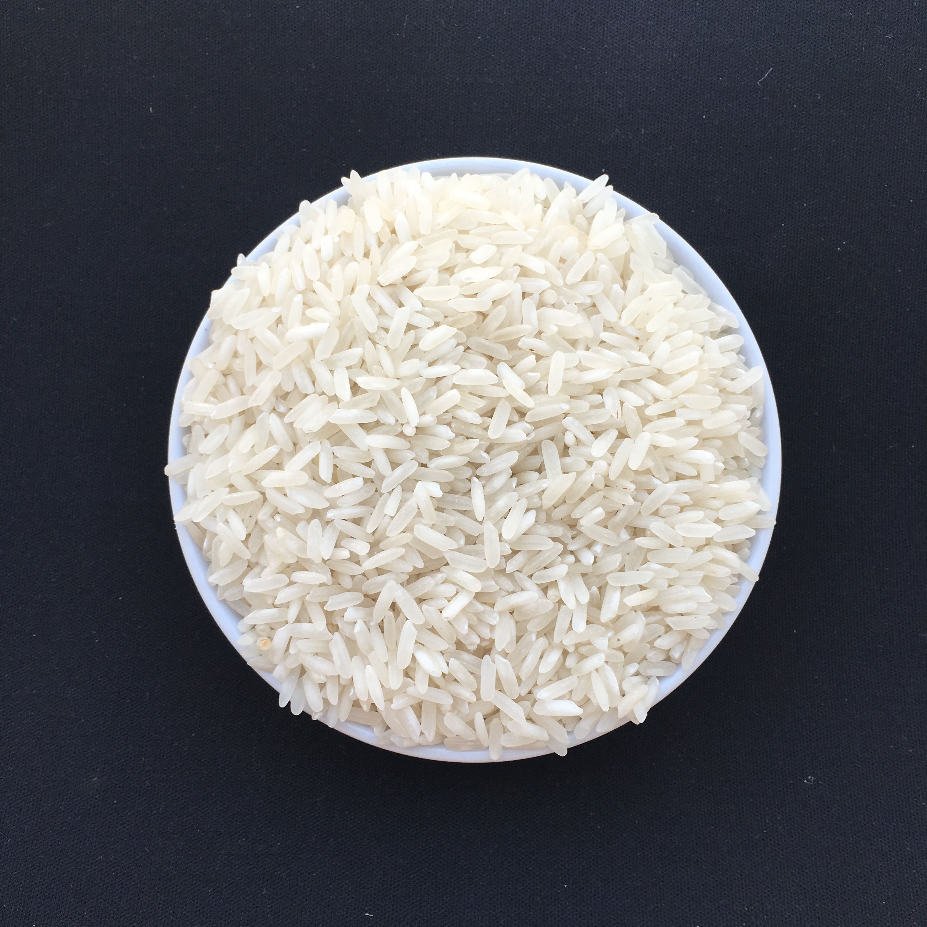 OM6976 rice