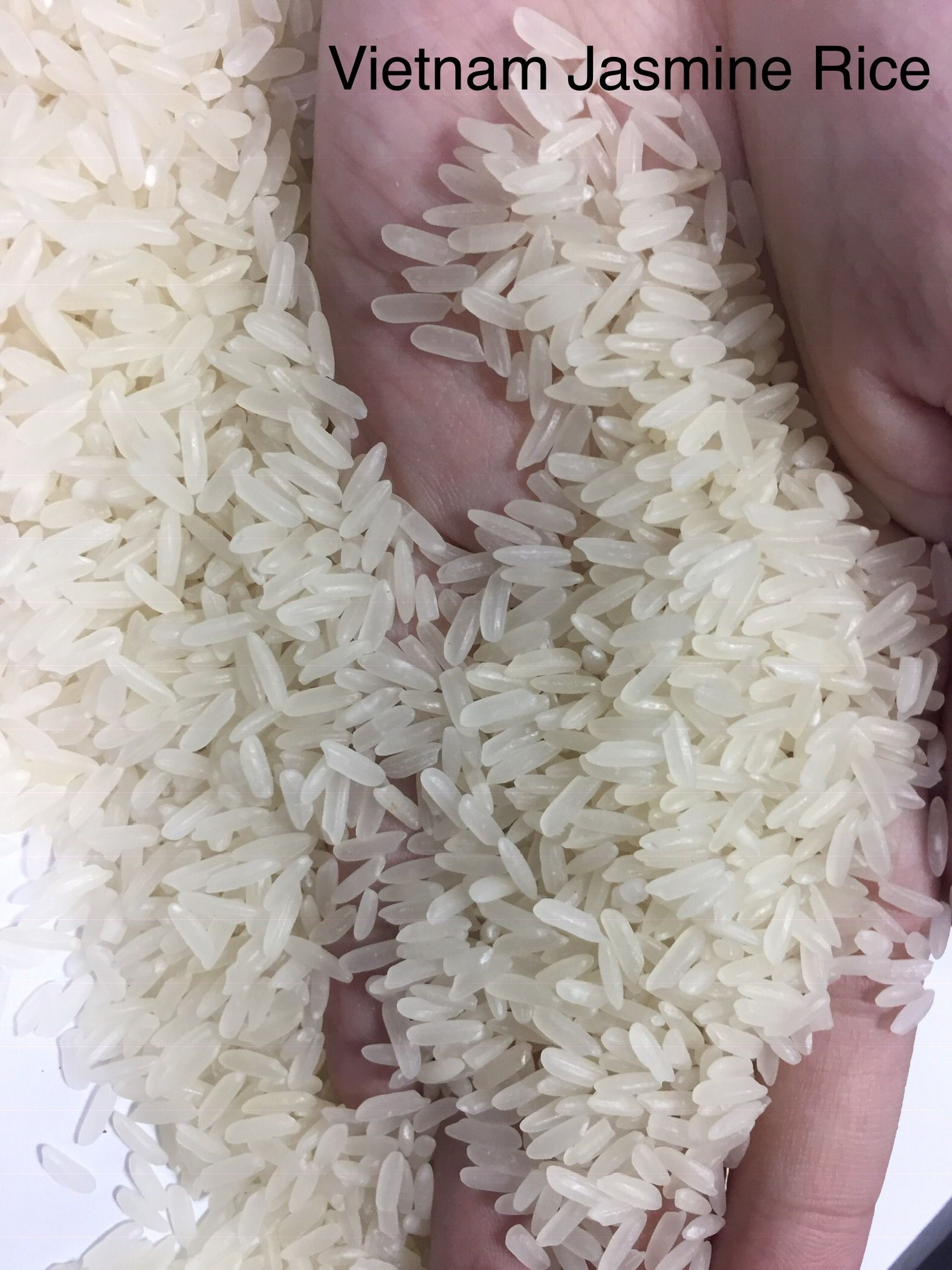 Vietnam Jasmine rice