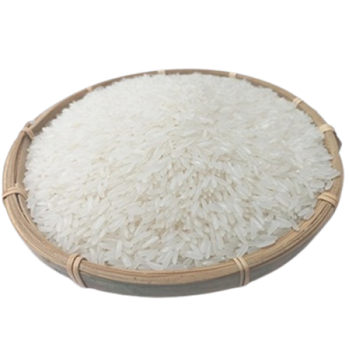 Rice OM5451