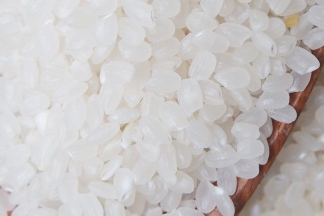 Vietnam Japonica Rice 5% broken (Sushi Rice)