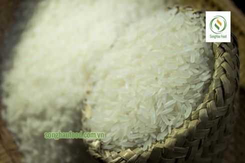 Jasmine Rice