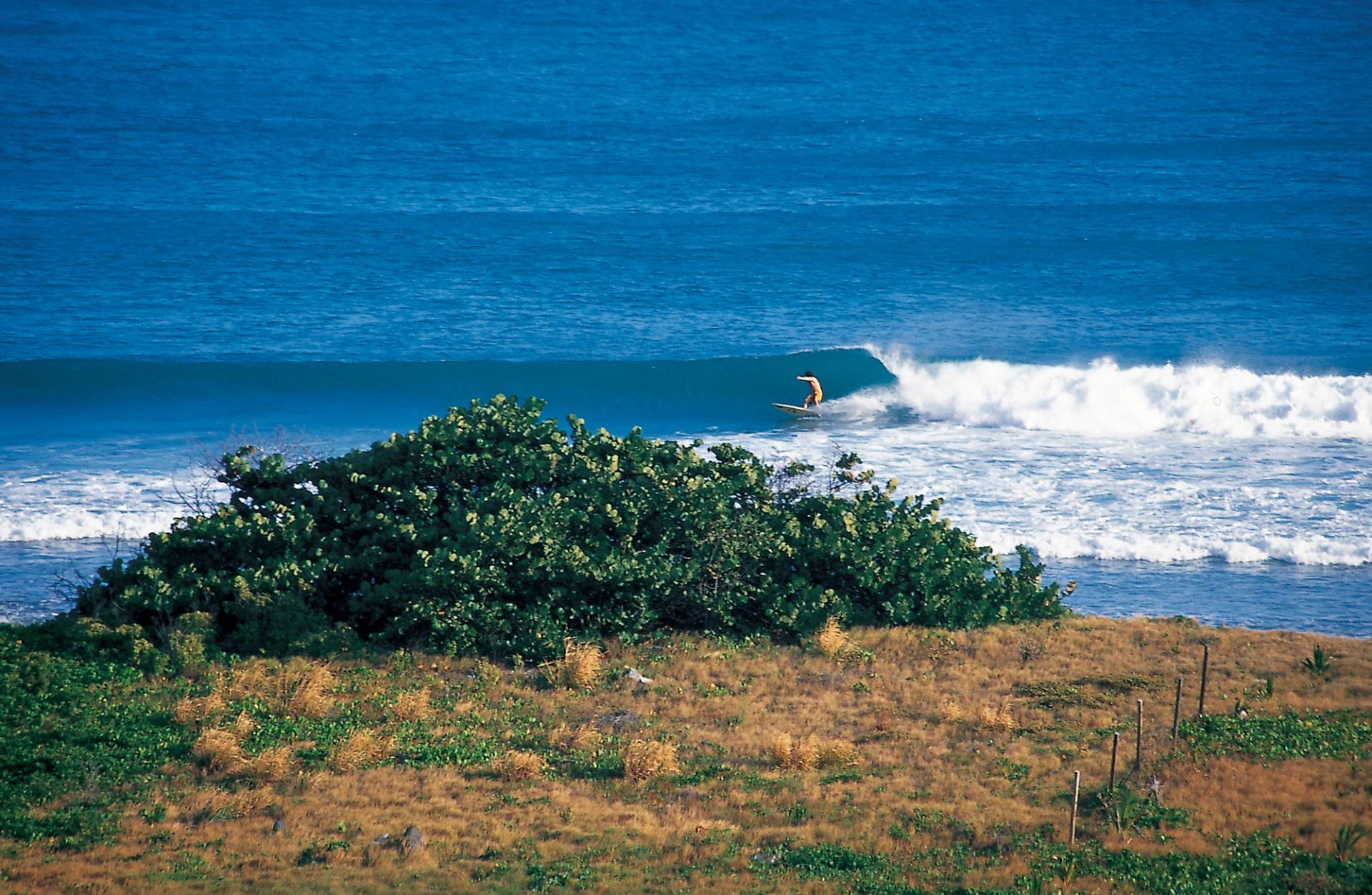 St Barths by Tiki Yates